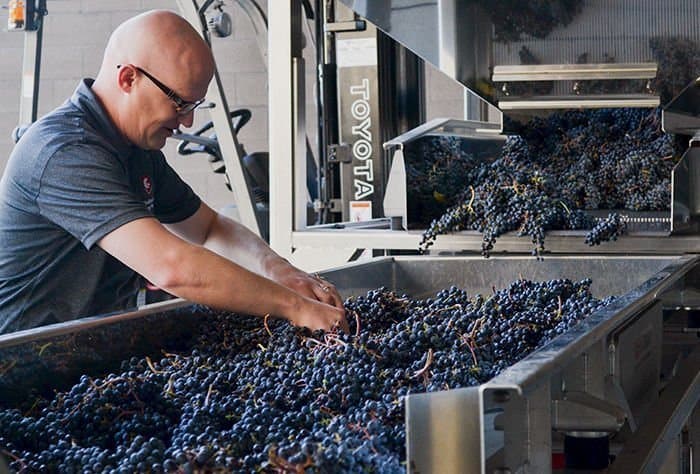 ASEV Confirmed Enologist Harbertson as President