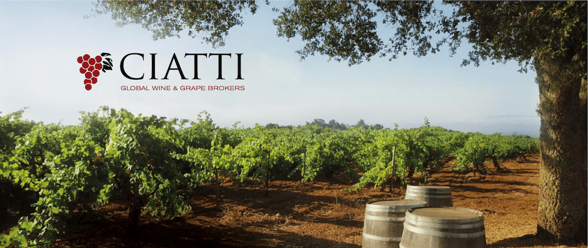 State of the North Coast Wine Industry with the Ciatti Co