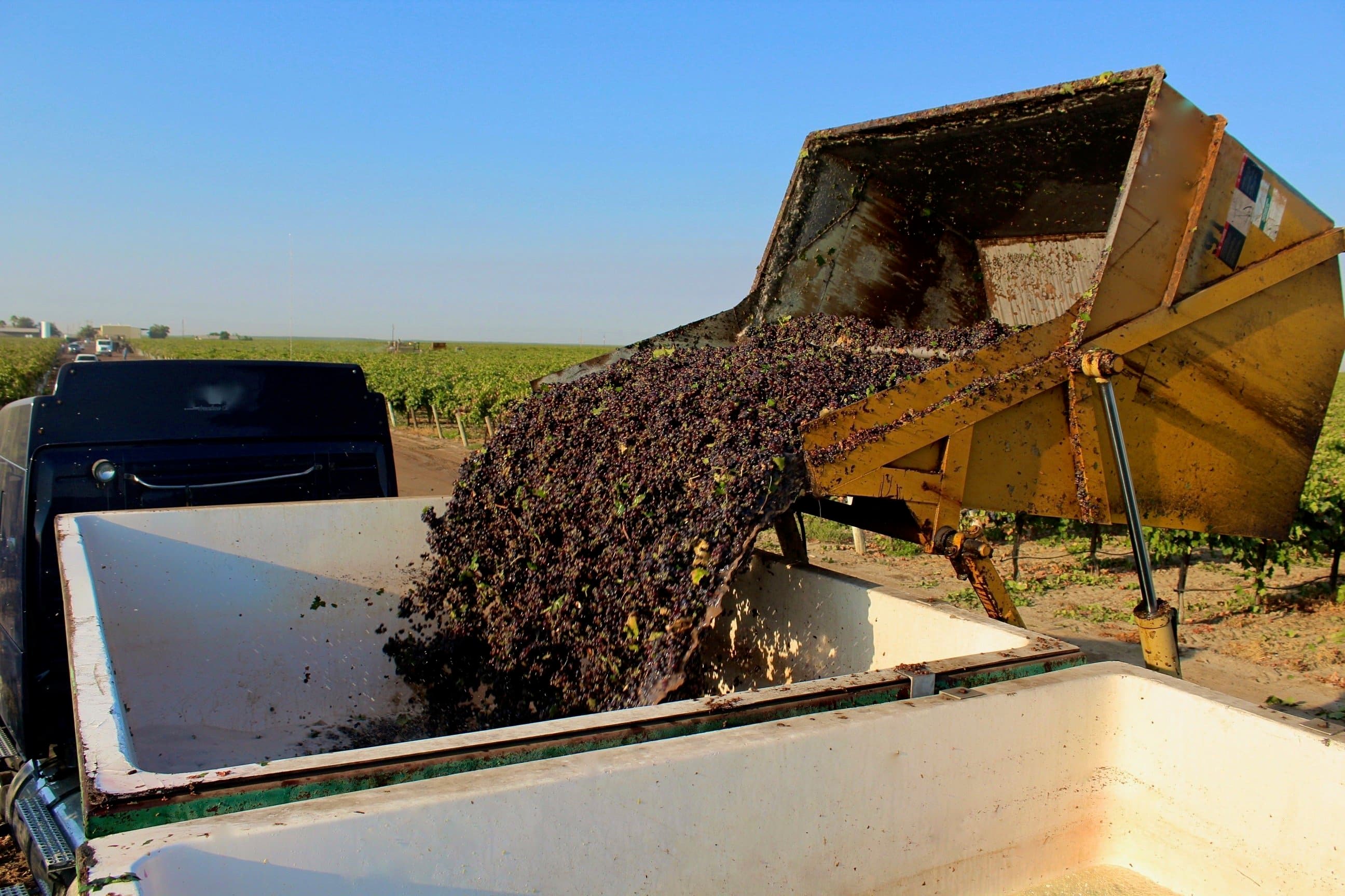 Preliminary Grape Crush Report 2017