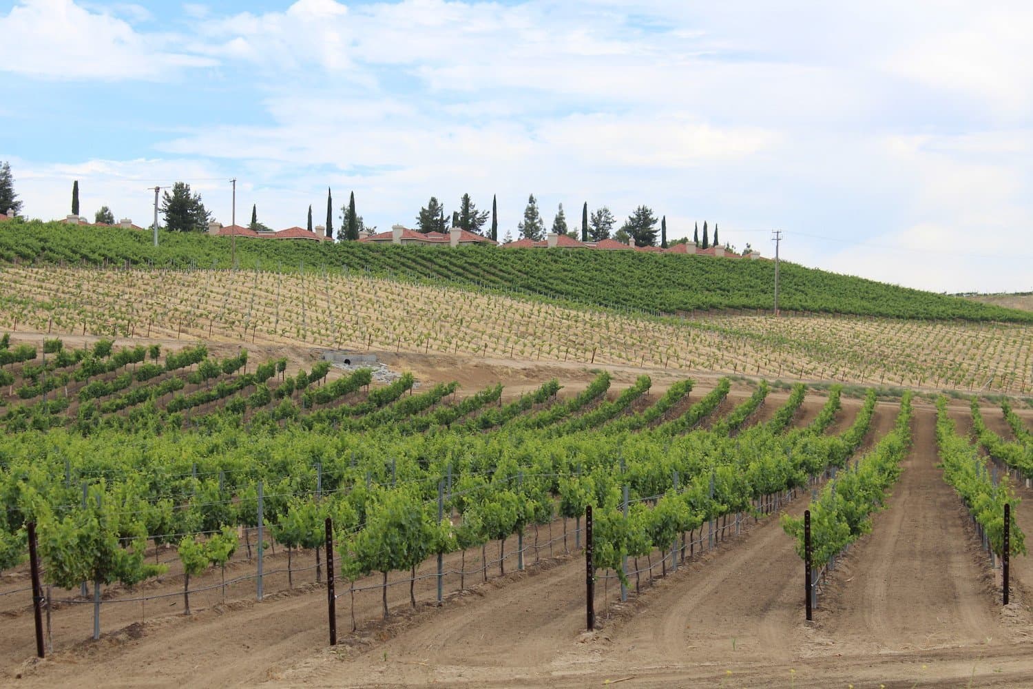 2017 CA Winegrape Crop Update with Allied Grape Growers