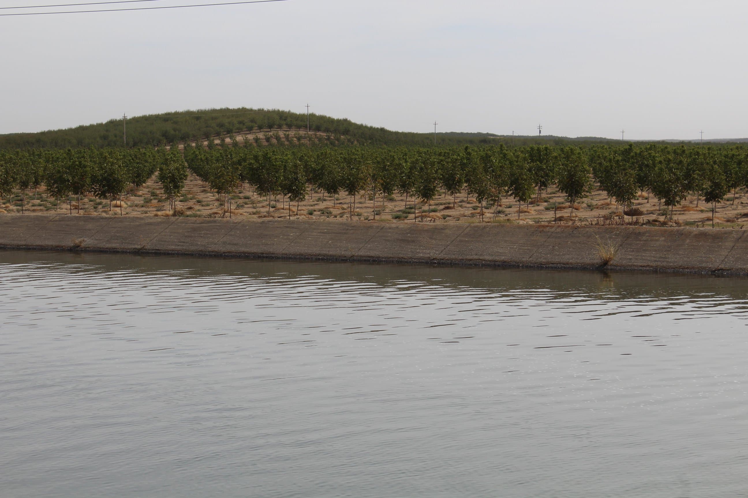 What Growers Should know about the New CA Water Bond