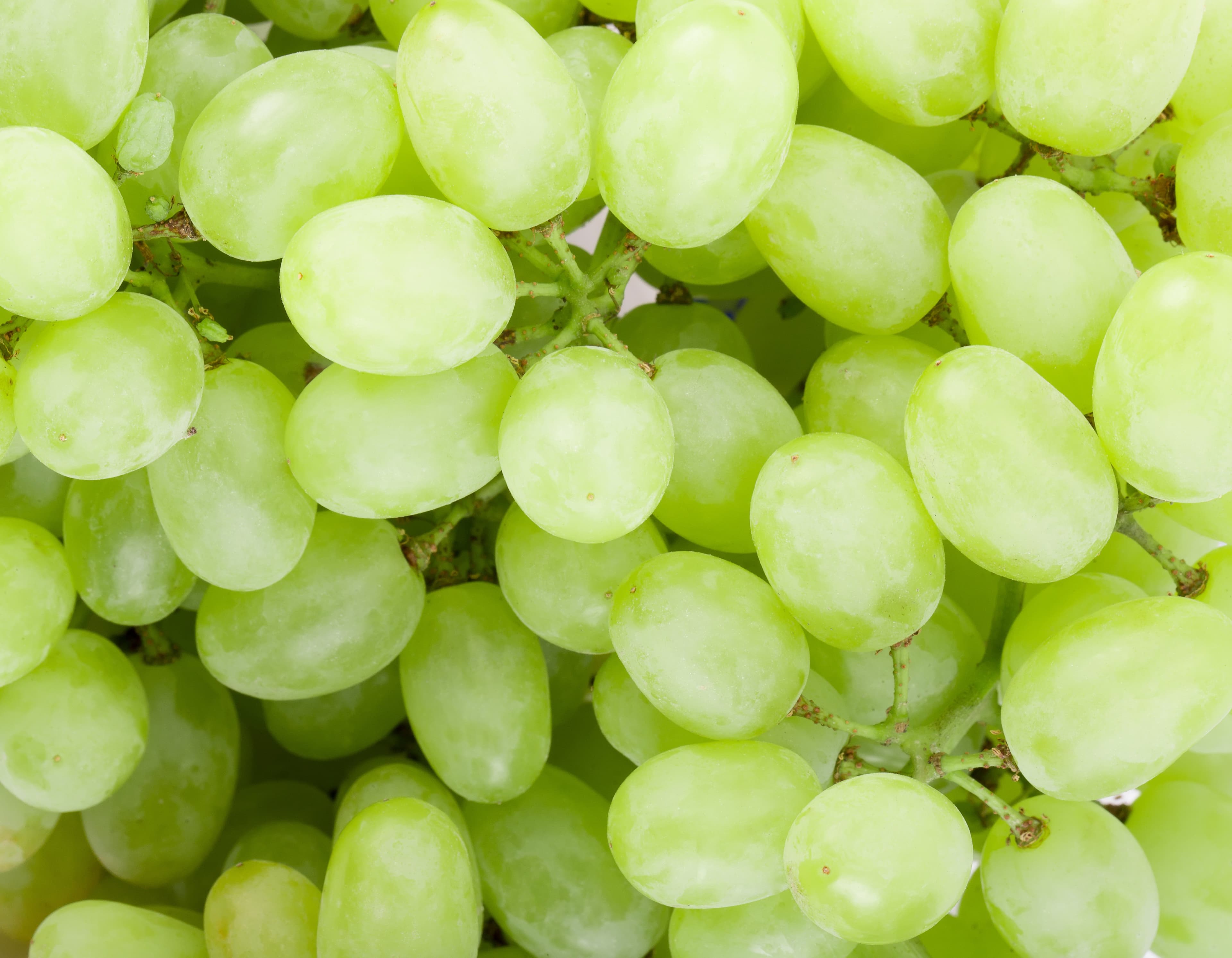 California Table Grape Shipments Pass 109 Million Mark Again