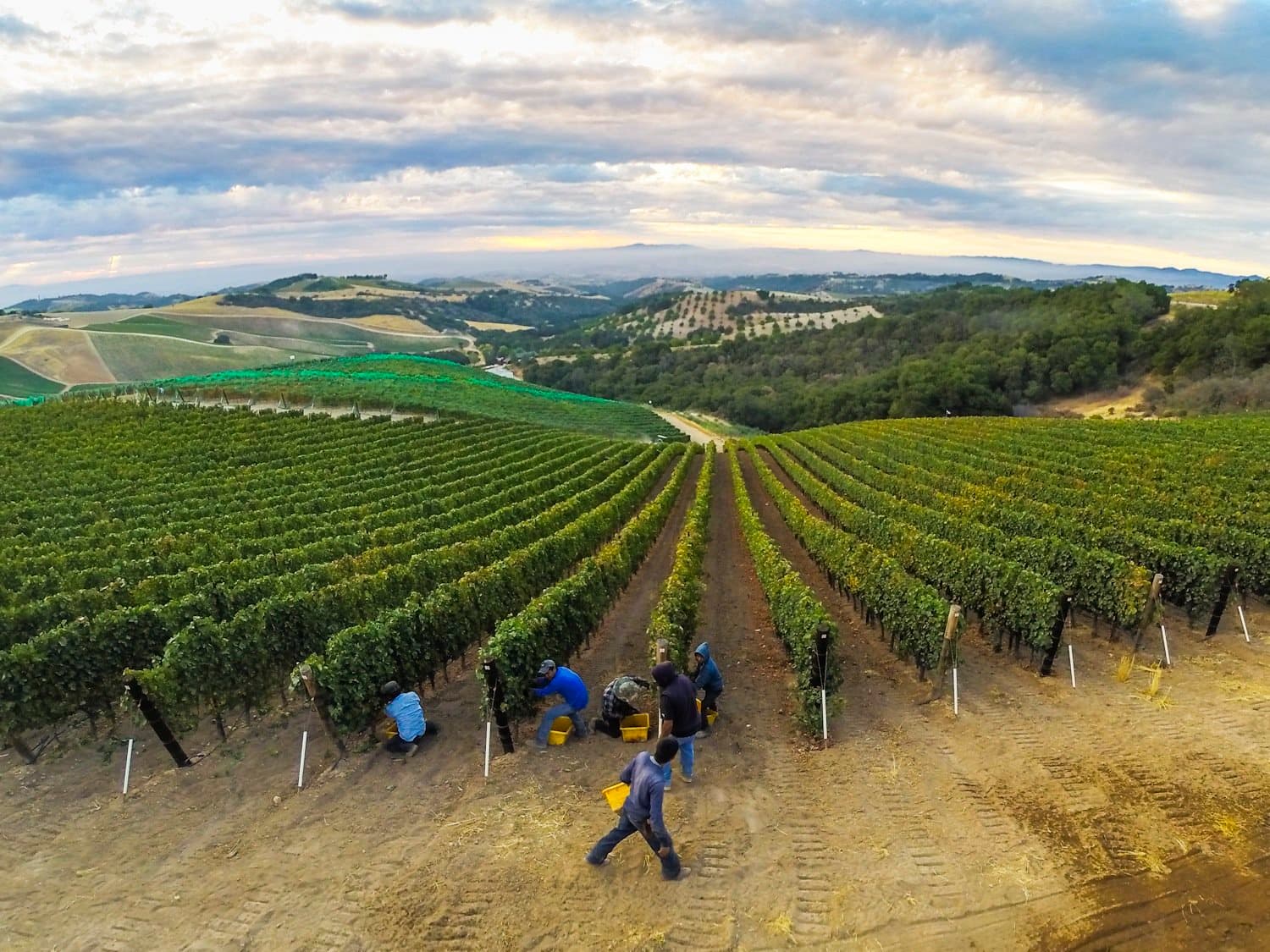 New Proposal for Immigration Reform Backed by Champion Boxers & Farmers