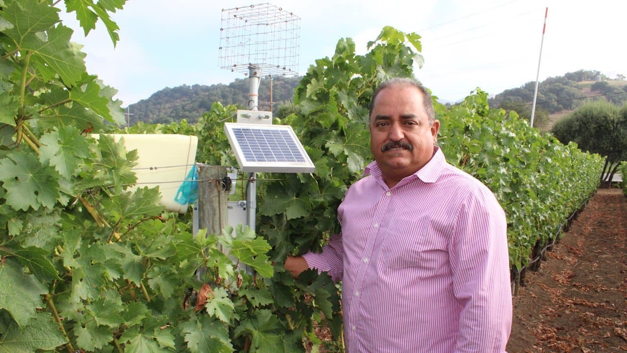 New Technology to Irrigate More Precisely at Pine Ridge Vineyards