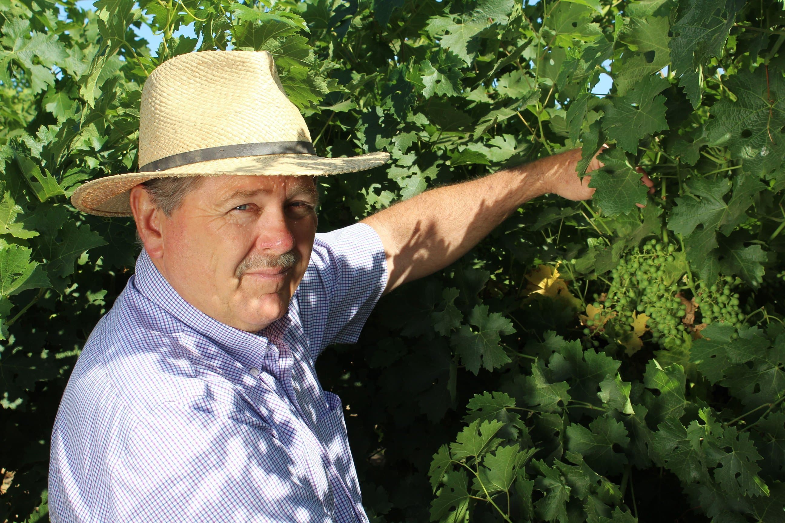 Madera Grape Grower Steve Schafer Receives CAWG’s Highest Honor