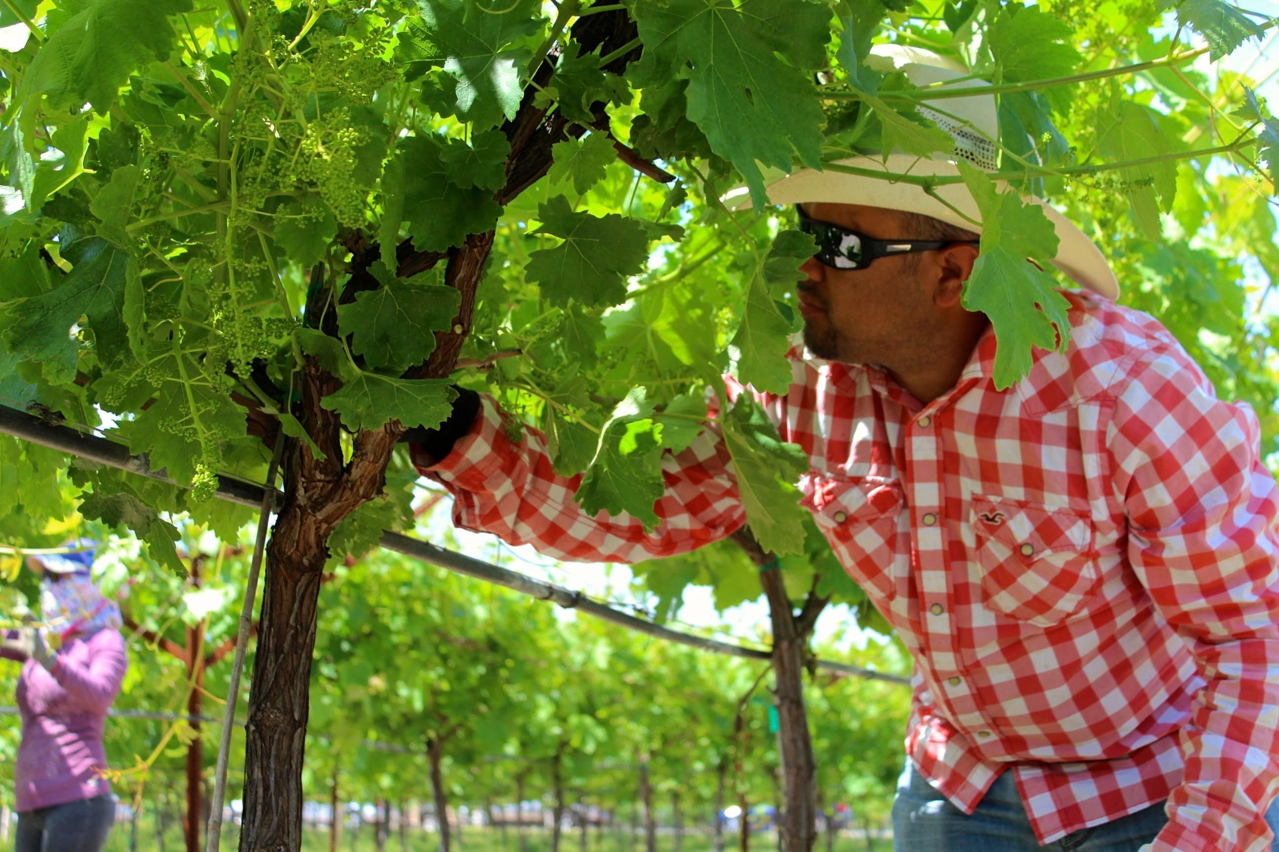 Heat illness prevention alert!