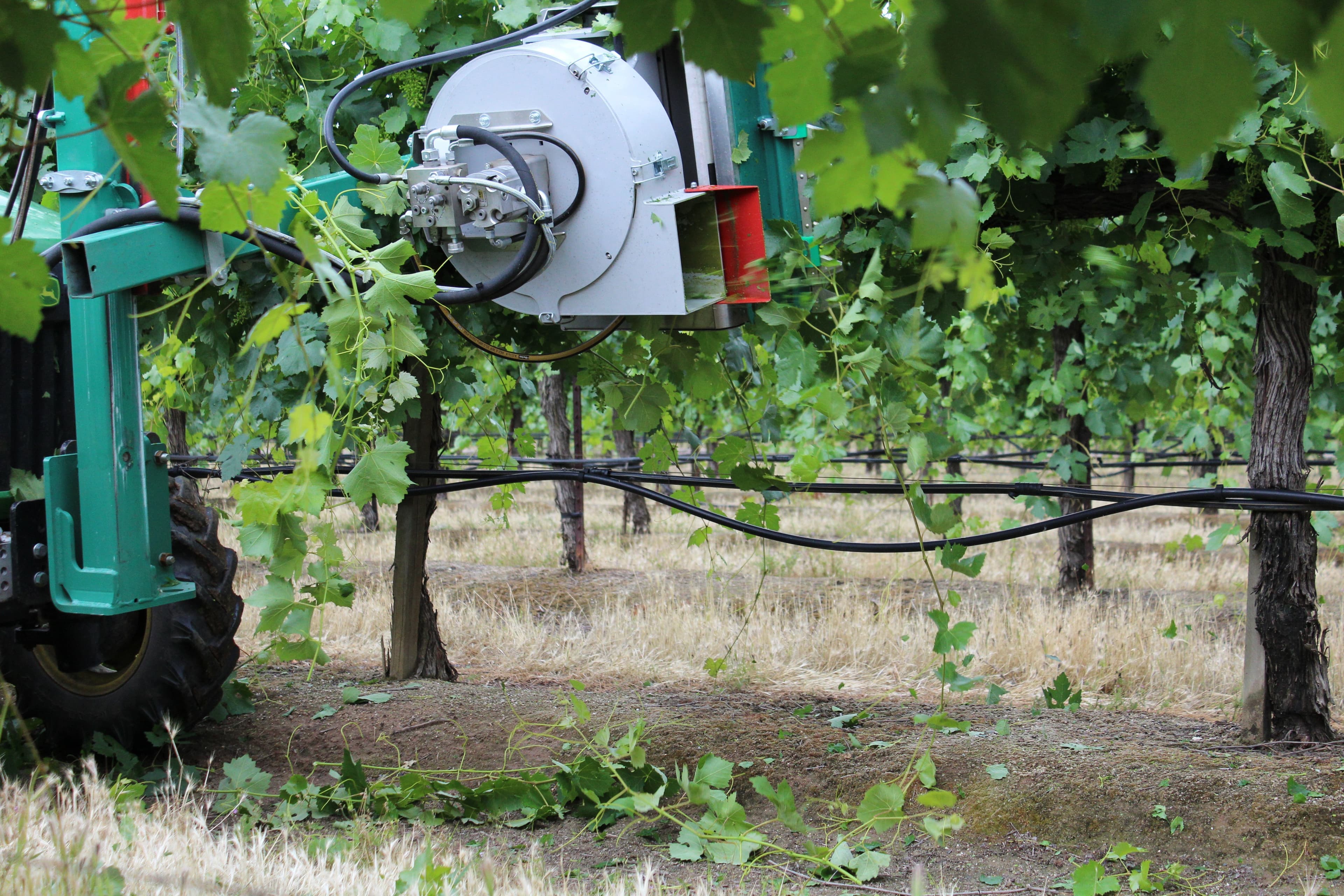 Recent Study Shows All Around Benefits of Mechanized Vineyard Canopy Management