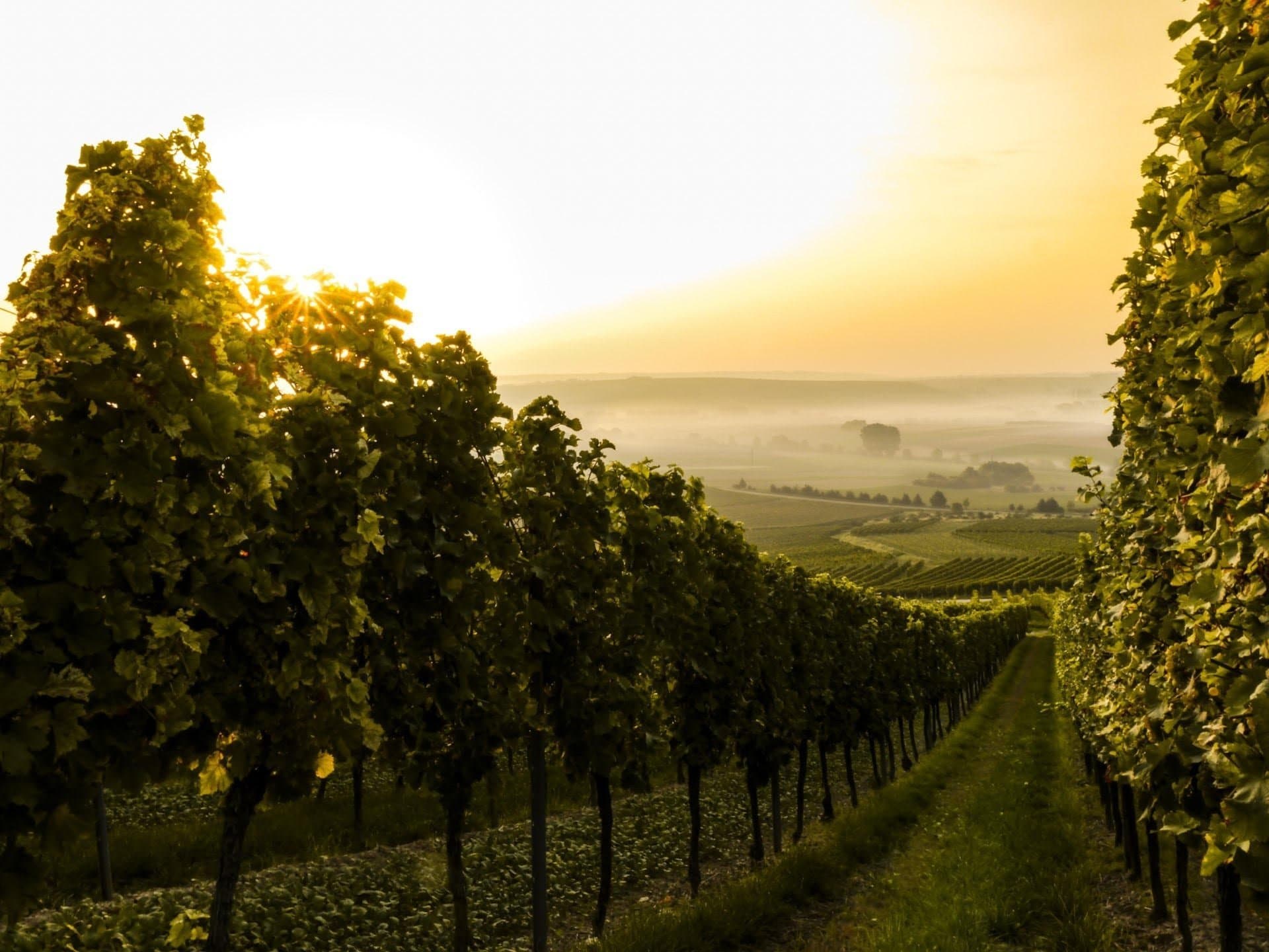 ROC-Oregon to Hold First Willamette Valley Regional Meeting