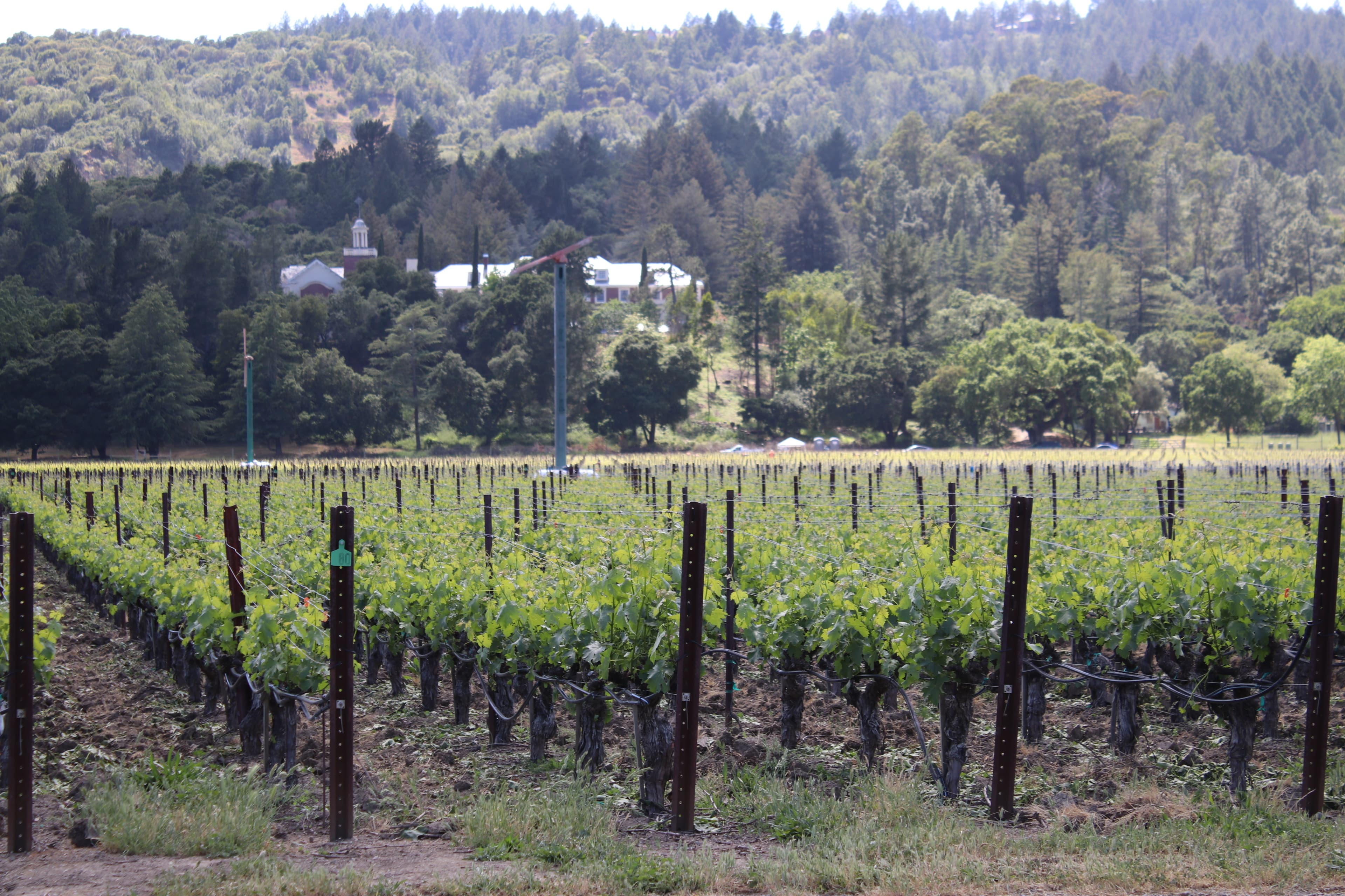 How Napa County Seeks to Streamline the Winery Permit Process
