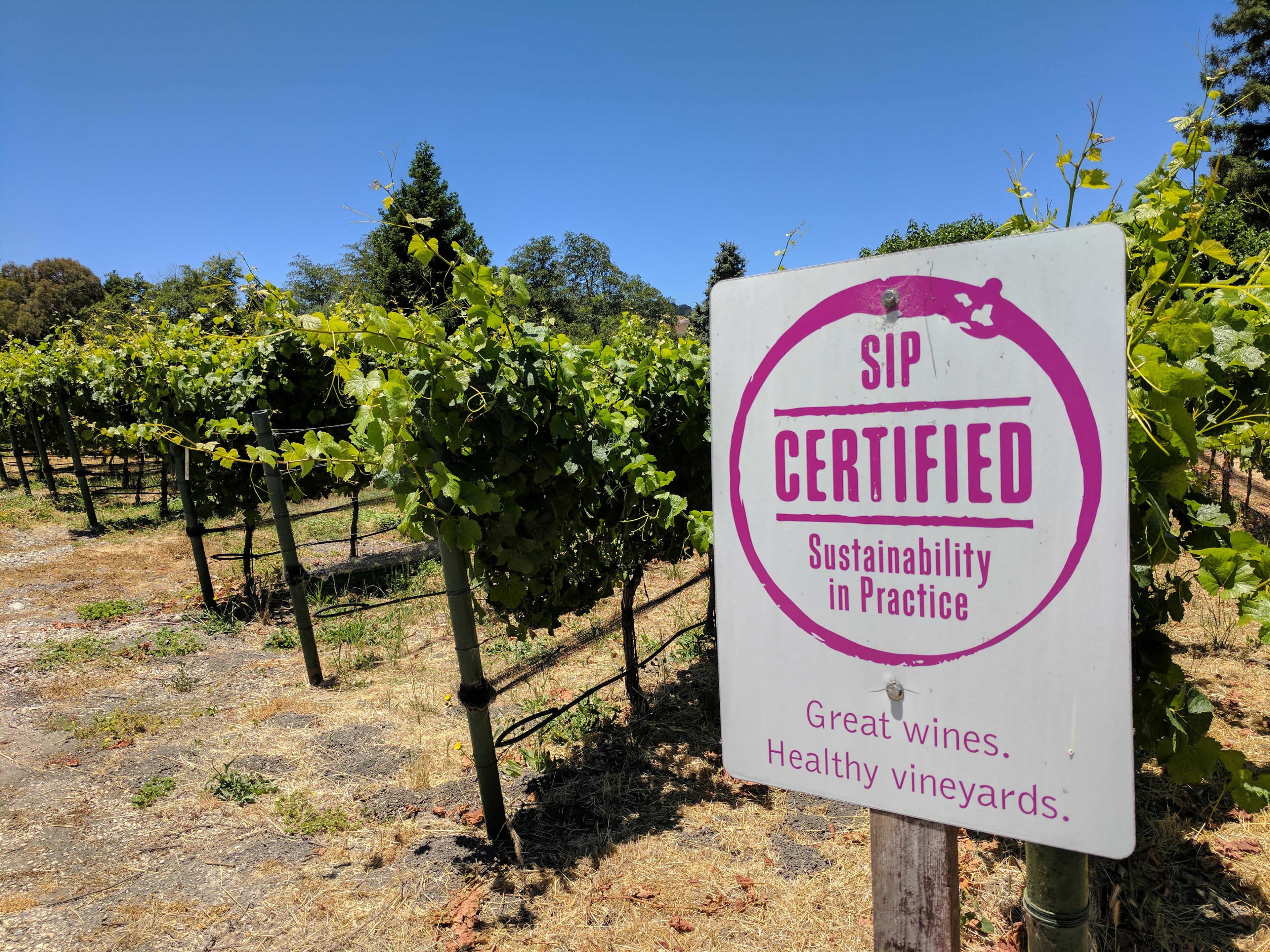 SIP Certified Announces Newly Certified, High-Profile Vineyards for 2019