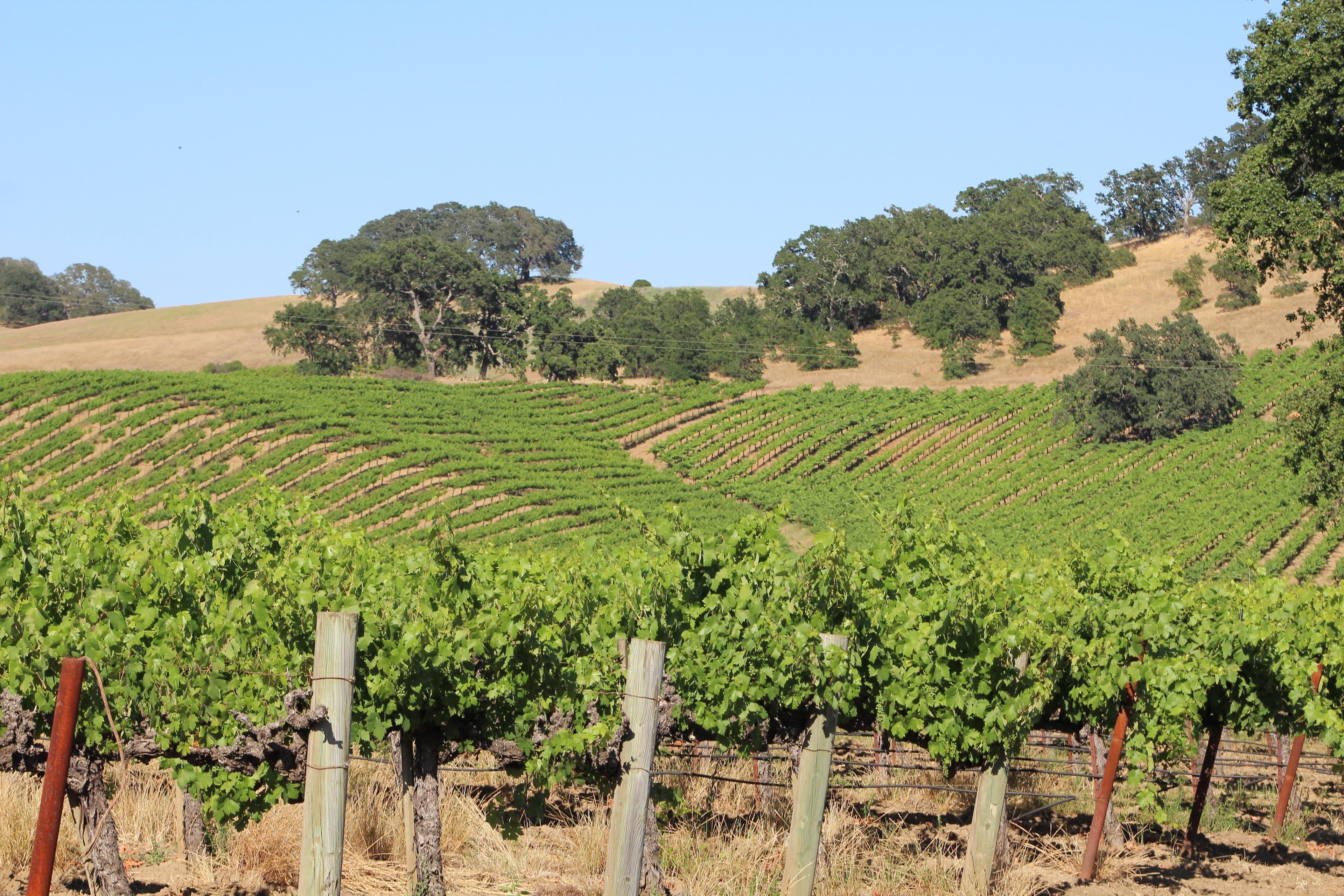 First Petition in 30+ Years to Amend California Grape Pricing District Boundary