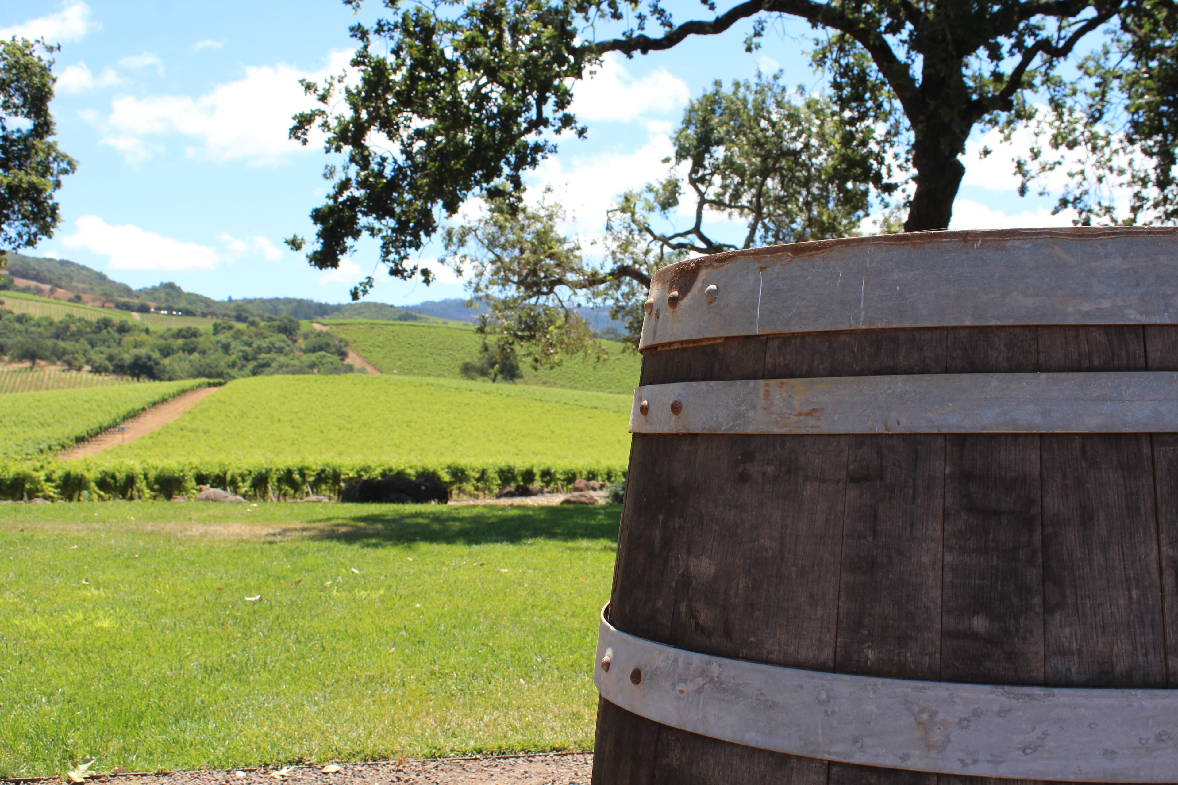California Vintners Gear Up for 2019 Harvest