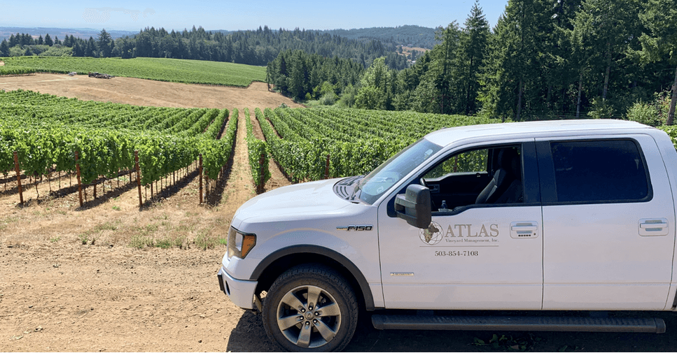 Atlas Vineyard Management Expands Premier Oregon Client Portfolio