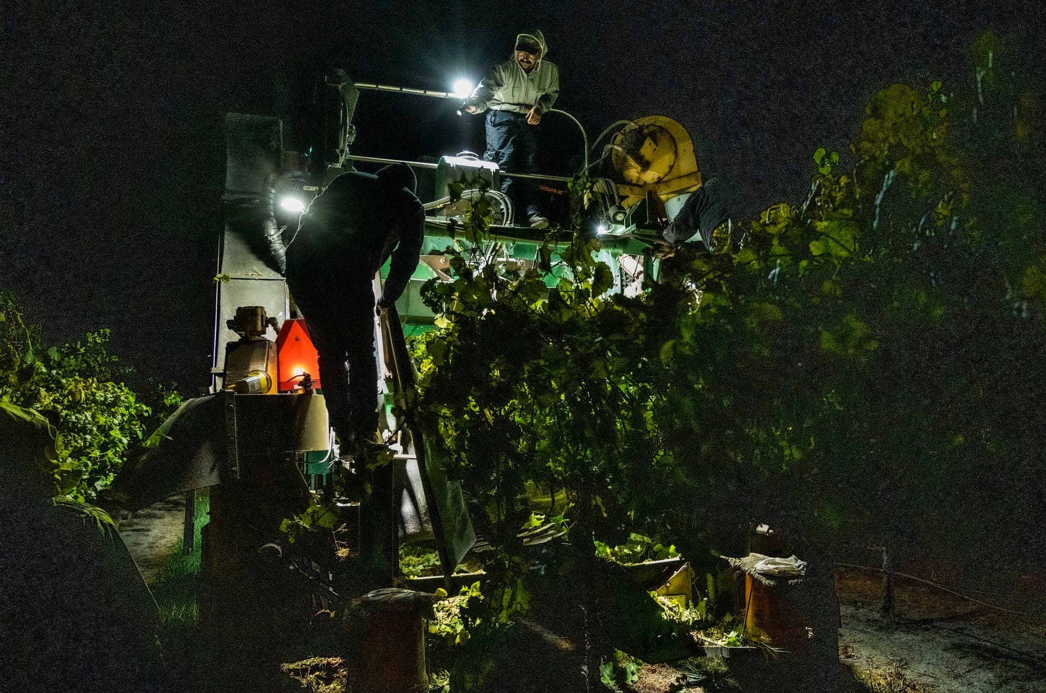 California Agricultural Employers, Workers Approach Smoke Concerns Differently