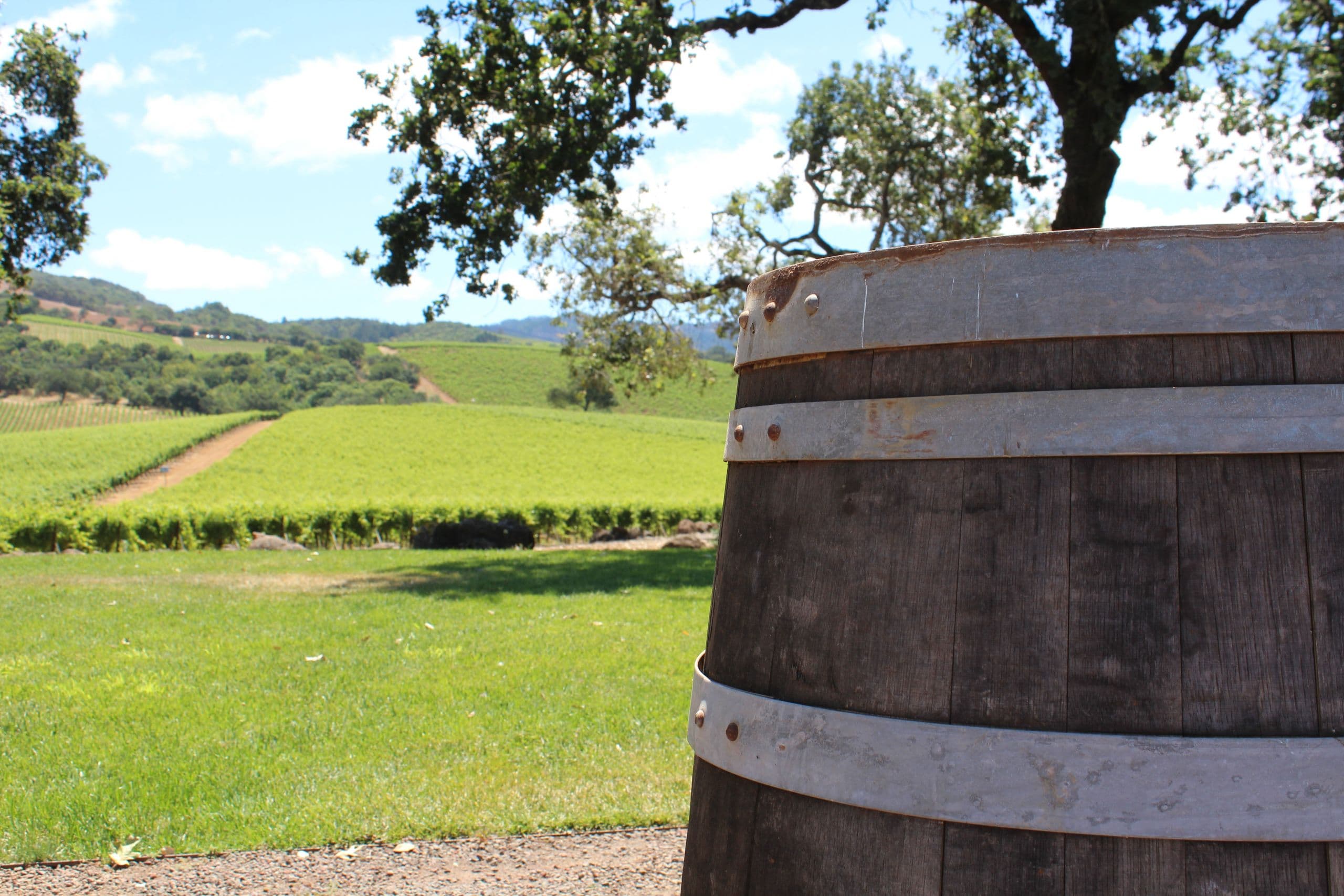 CDFA Releases CA 2019 Preliminary Grape Crush Report