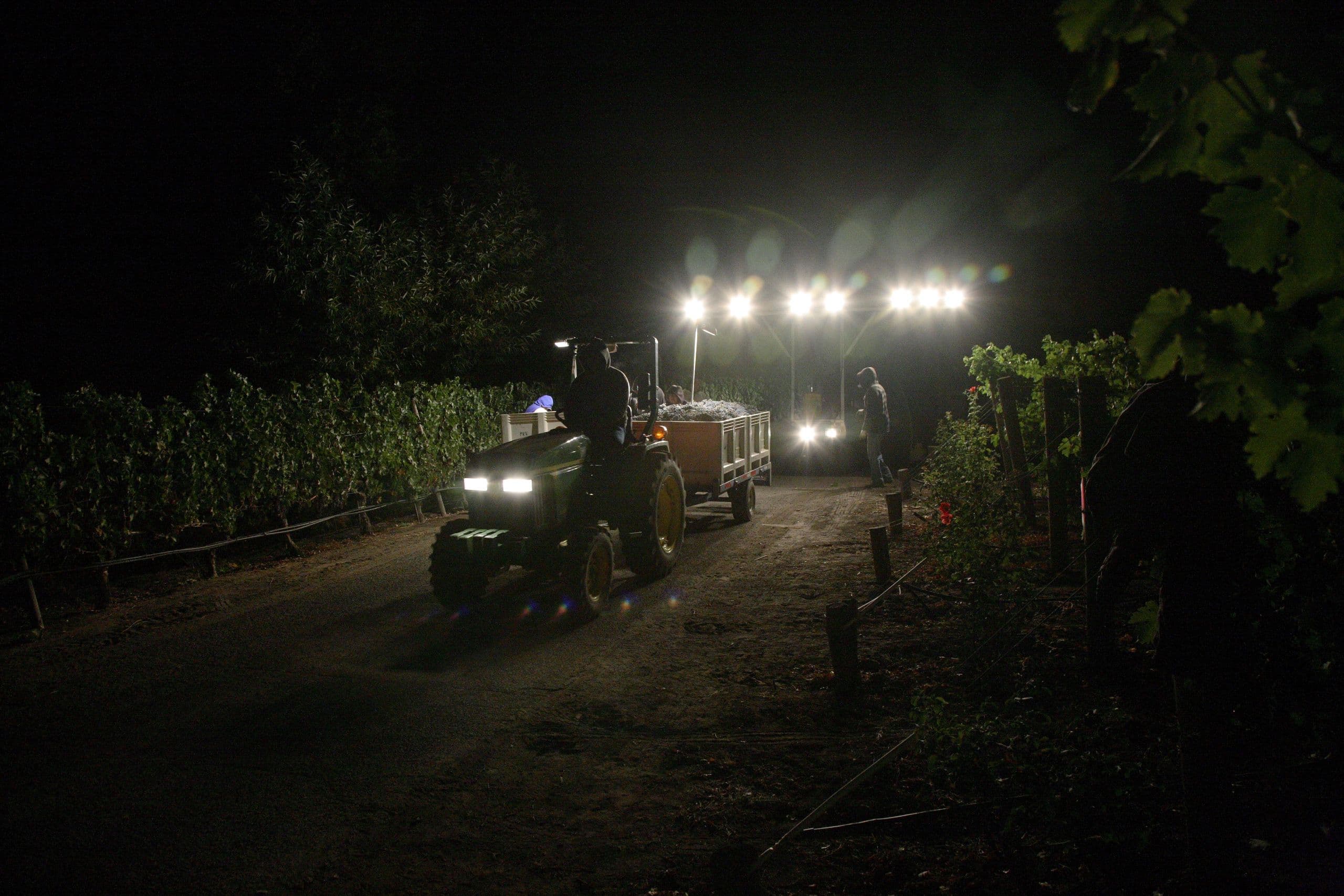 New Pending Regulations for Night Harvest Lighting in Vineyards