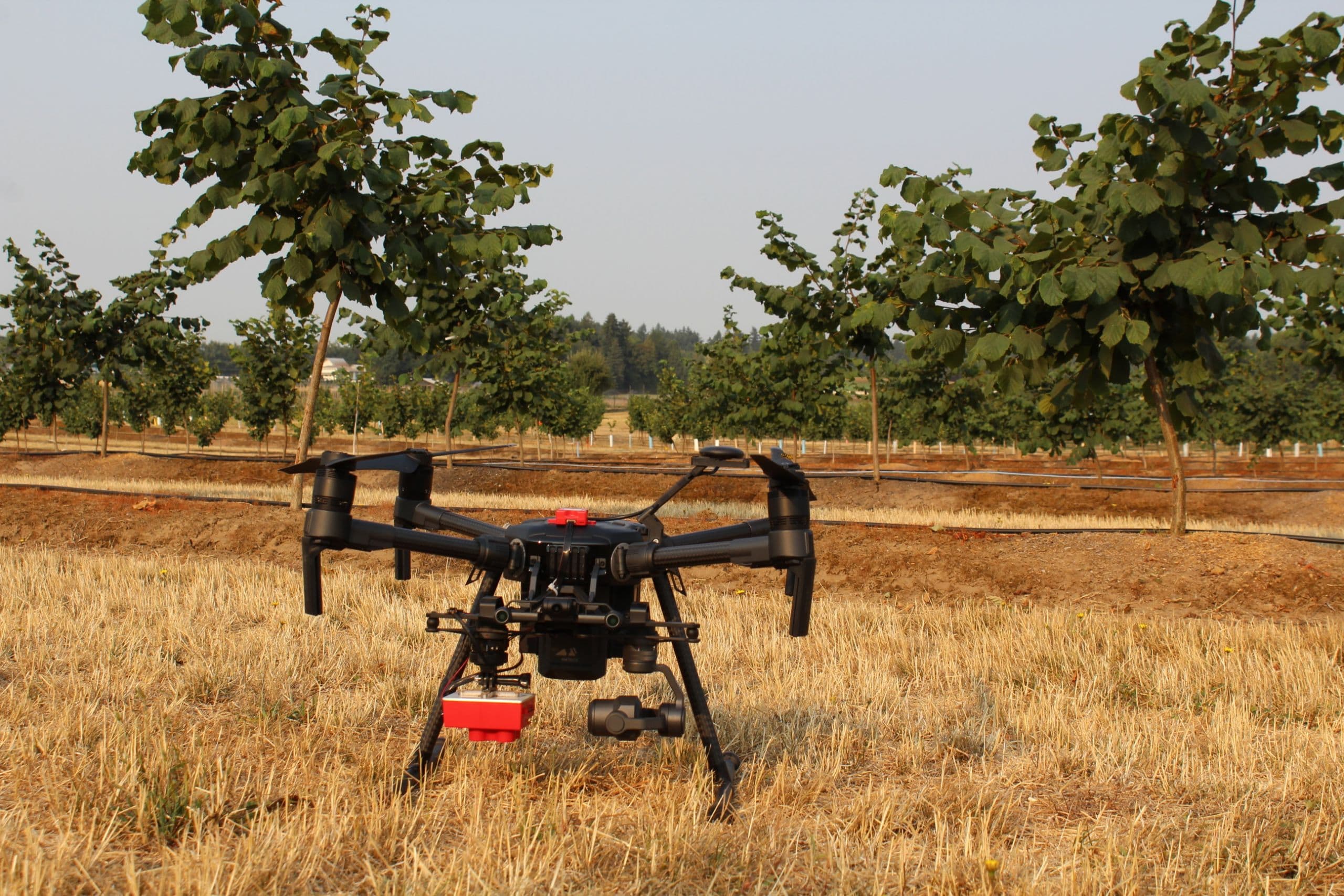 How Drones Can Help Farmers