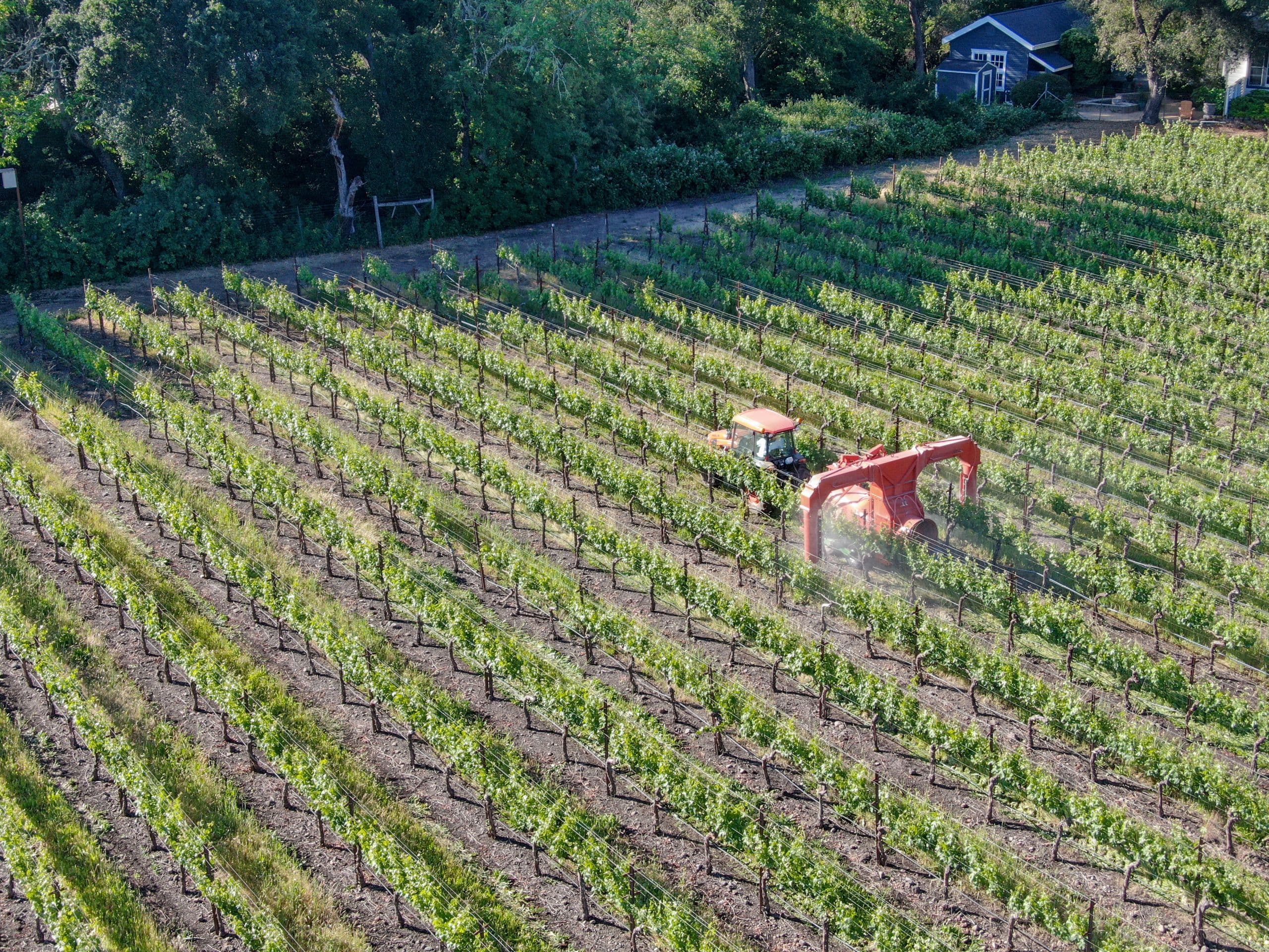 Managing Fungicide Resistance in the Vineyard
