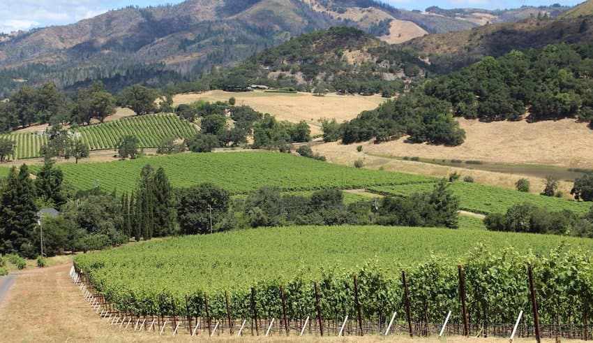 USDA Reports California Grape Acreage Decline