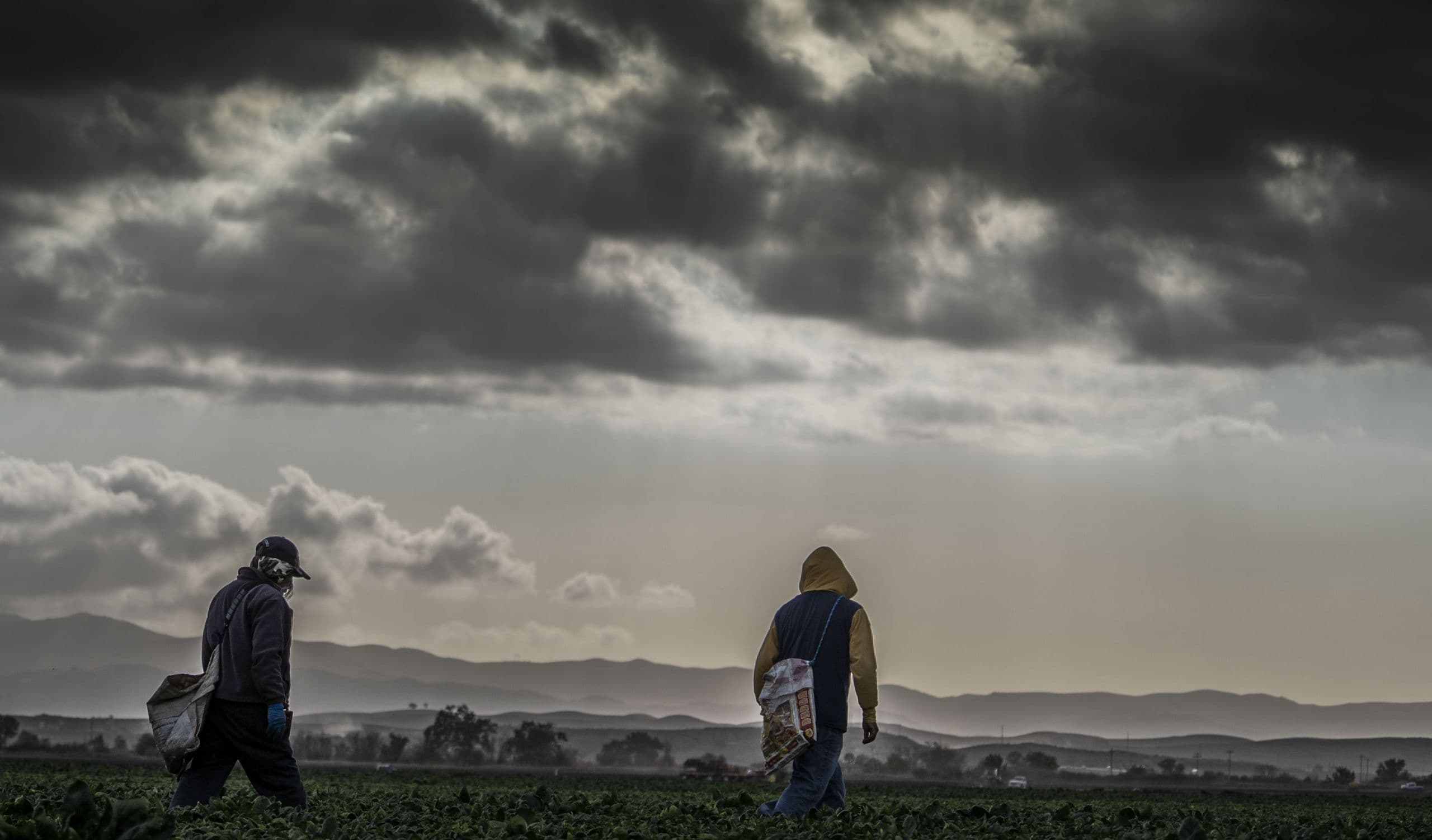 CAL/OSHA COVID-19 Infection Prevention for Ag Employers & Employees