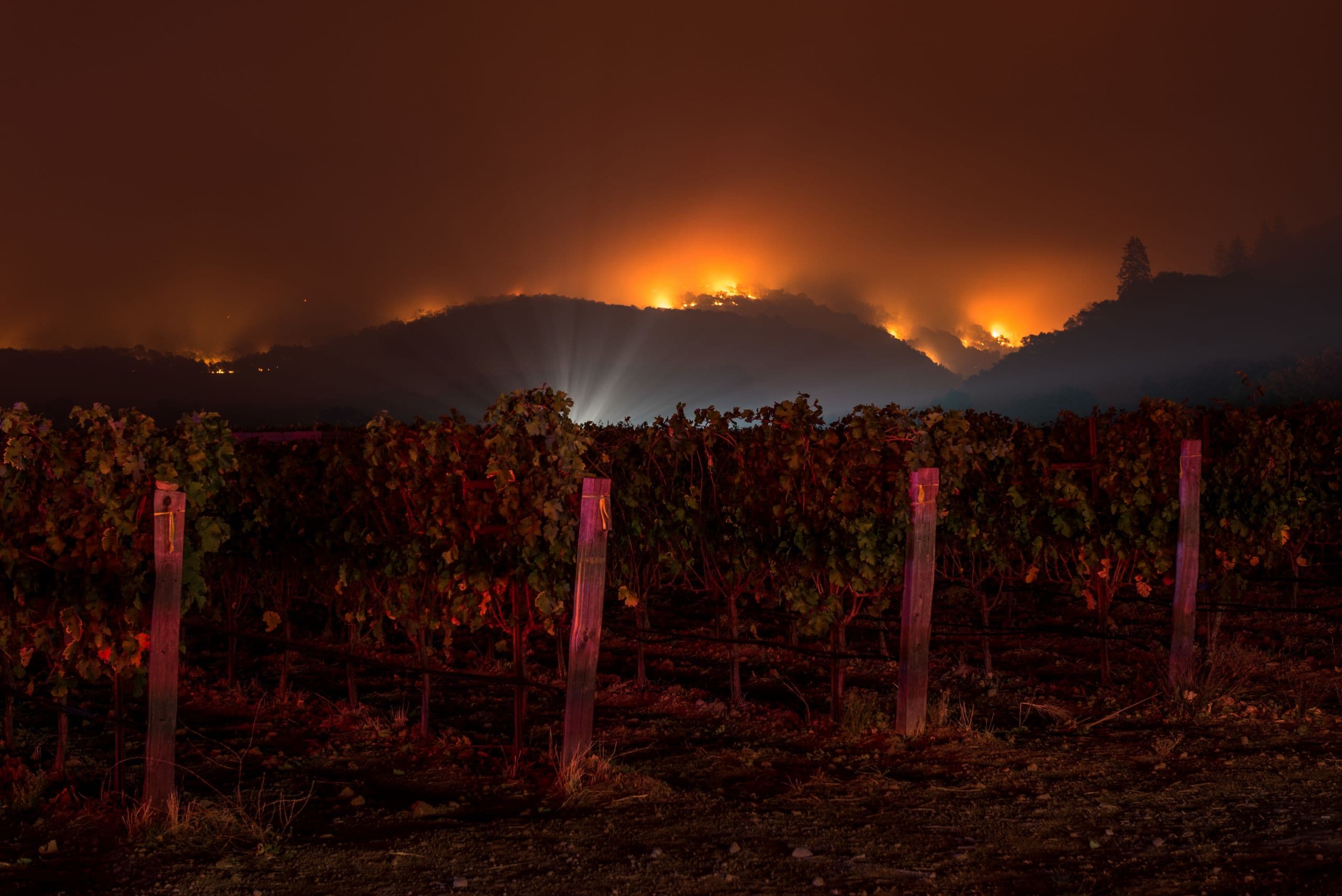 USDA ARS Moves Forward with Smoke Exposure Research