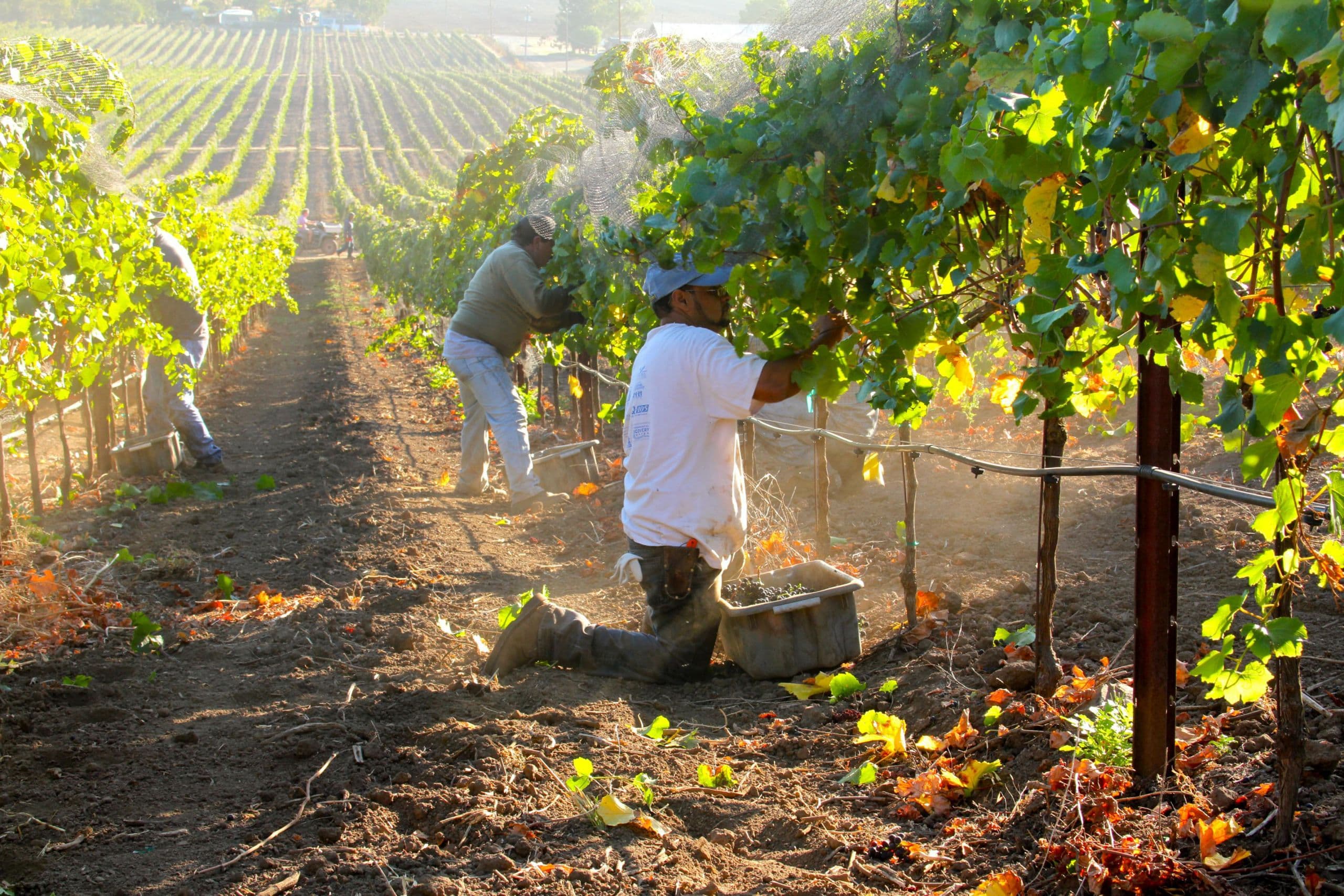 NIFA Invests $4.8 Million to Train Ag Workforce Through Community Colleges