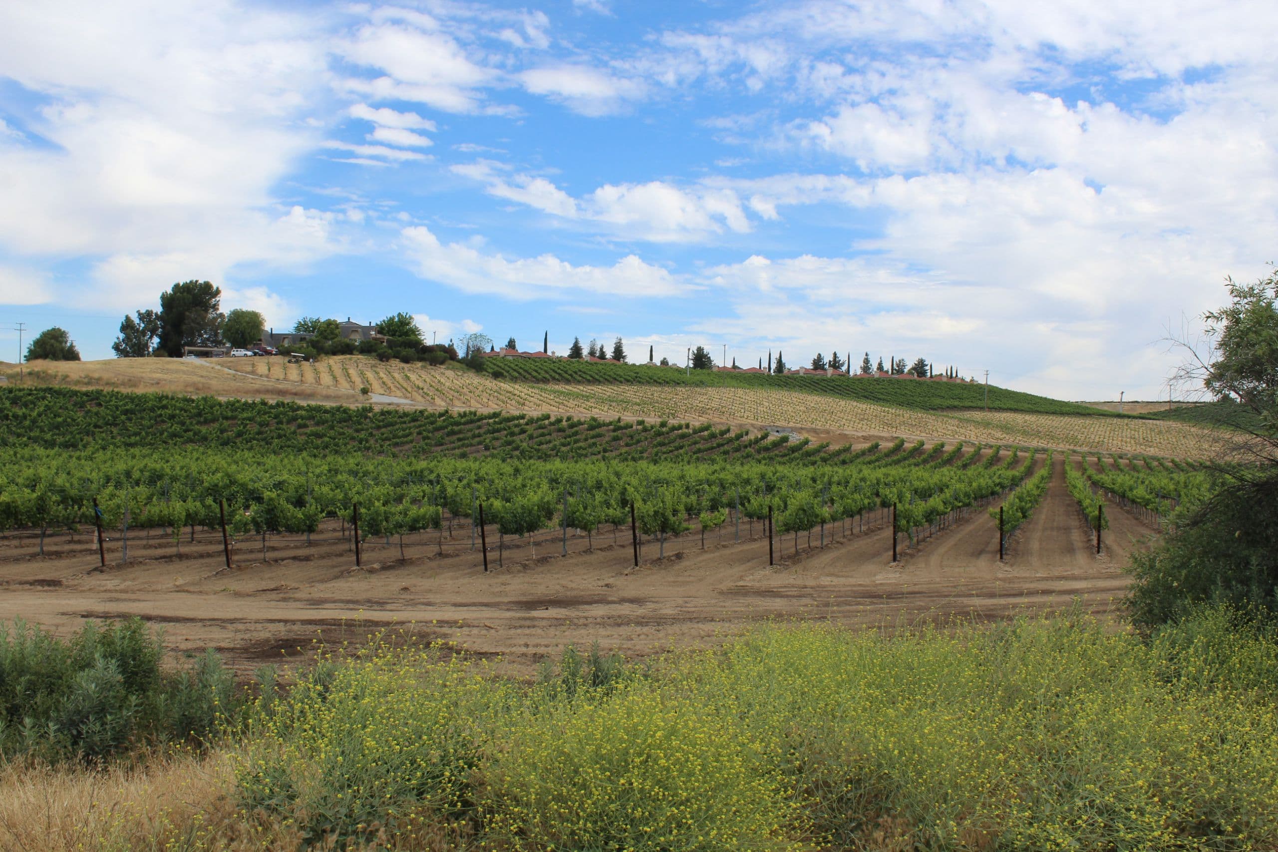 2019 Ohio Wine Grape Production & Pricing Index