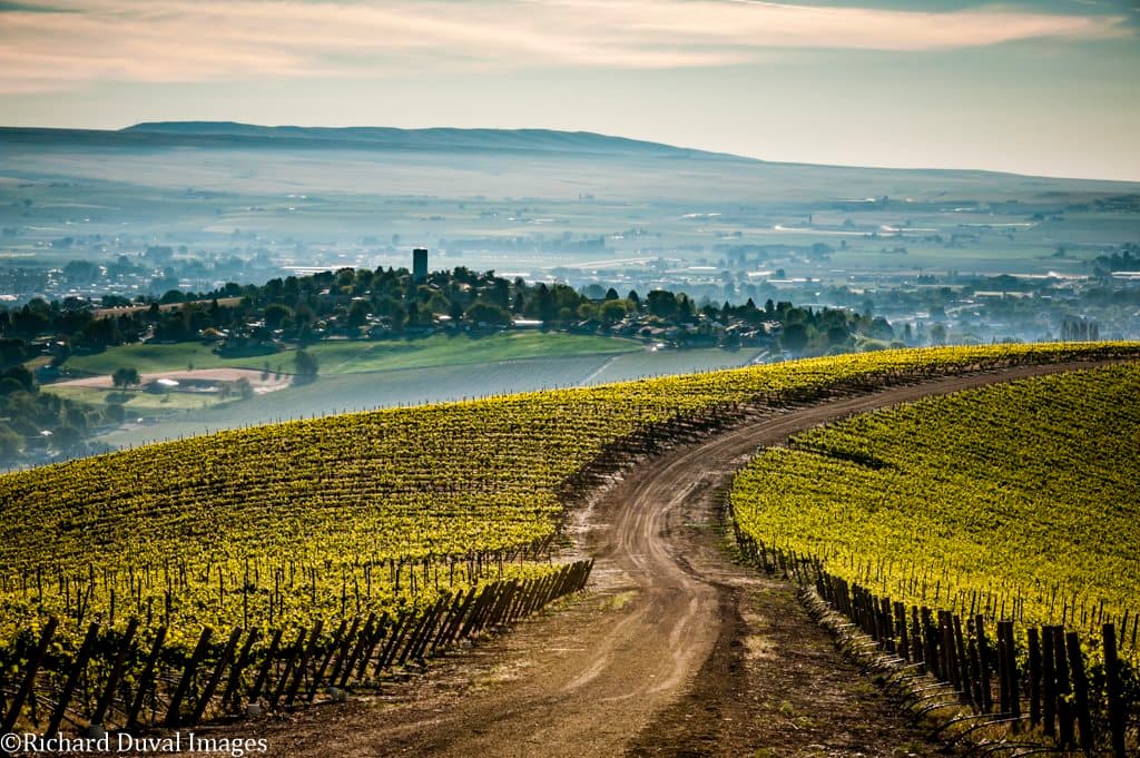 WA Wine Collaboration Series #5 Grower & Winemaker Announced
