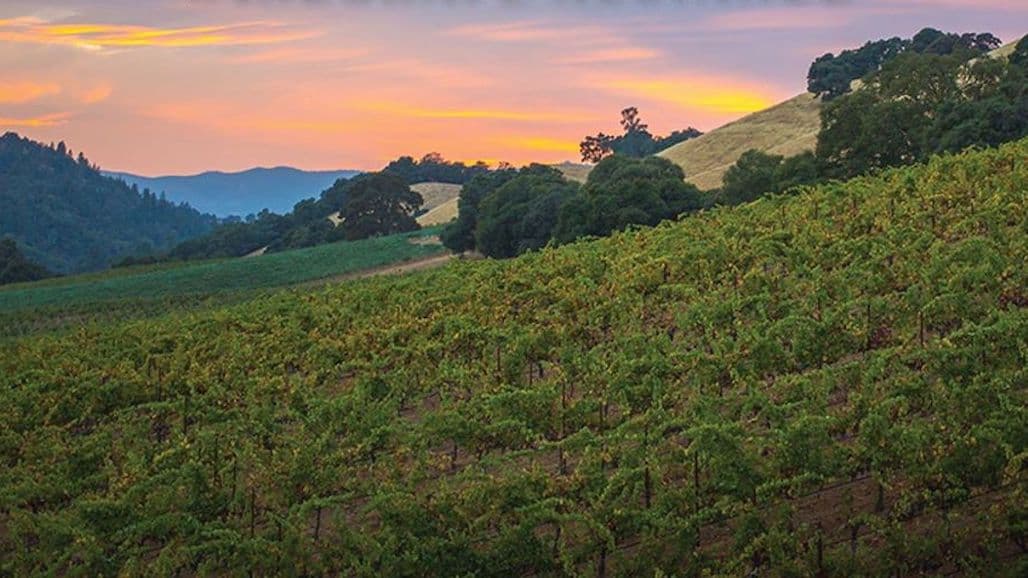 Calaveras Wine Country Mourns Loss of Stephen Collum