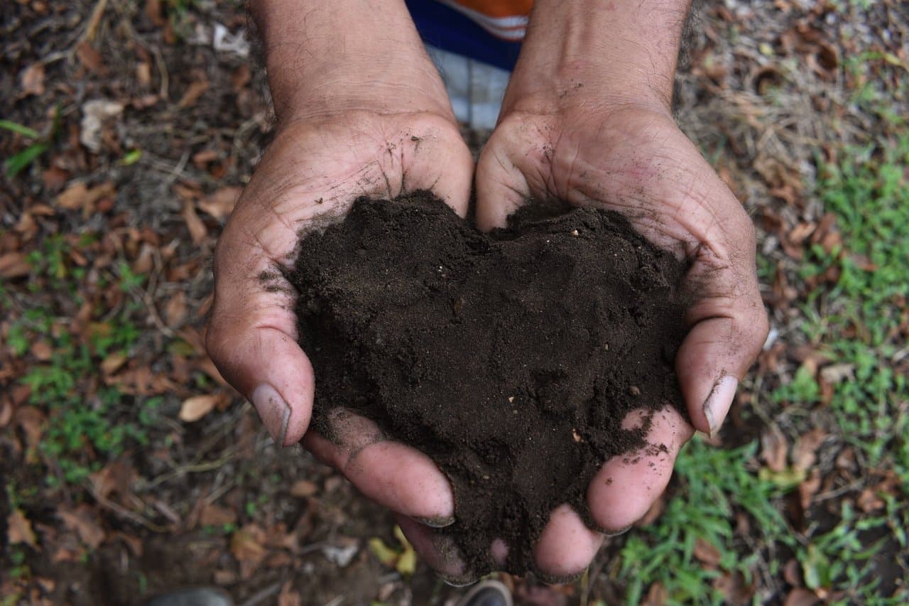 Regenerative Organic Certified™ (ROC™) Standard Is Open For Business