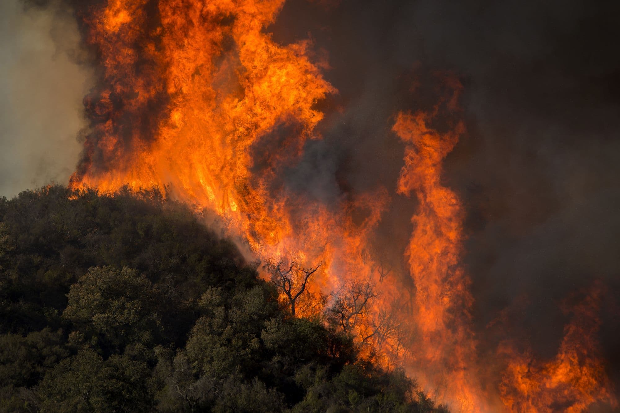 USDA Assists Farmers, Ranchers & Communities Affected by Western Wildfires