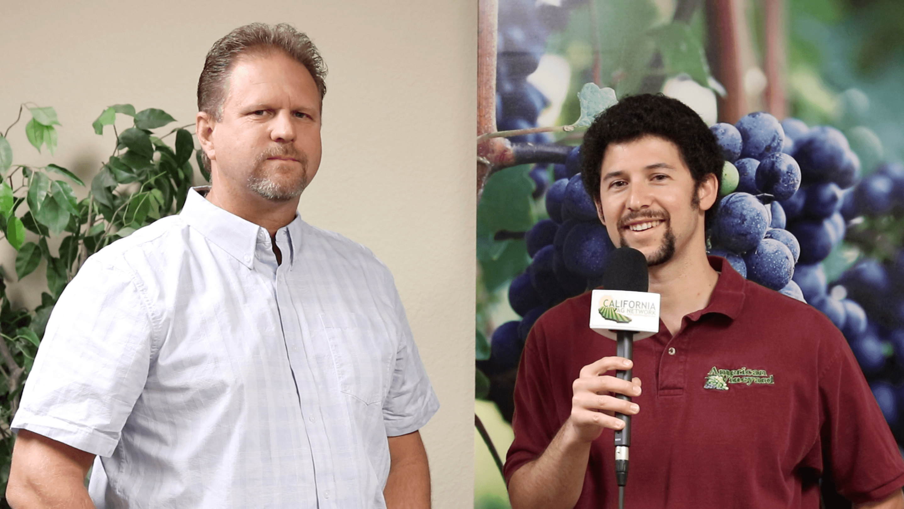 What to Expect from the 2020 California Wine Crop