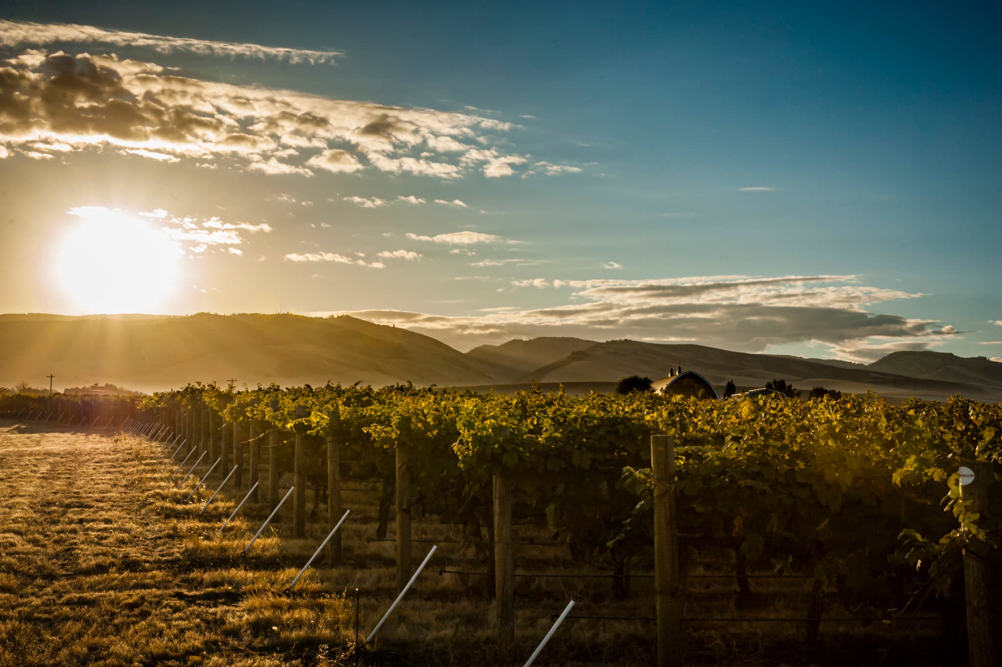 Walla Walla Valley Wine Alliance Executive Director Robert Hansen To Also Serve As Executive Director For Visit Walla Walla