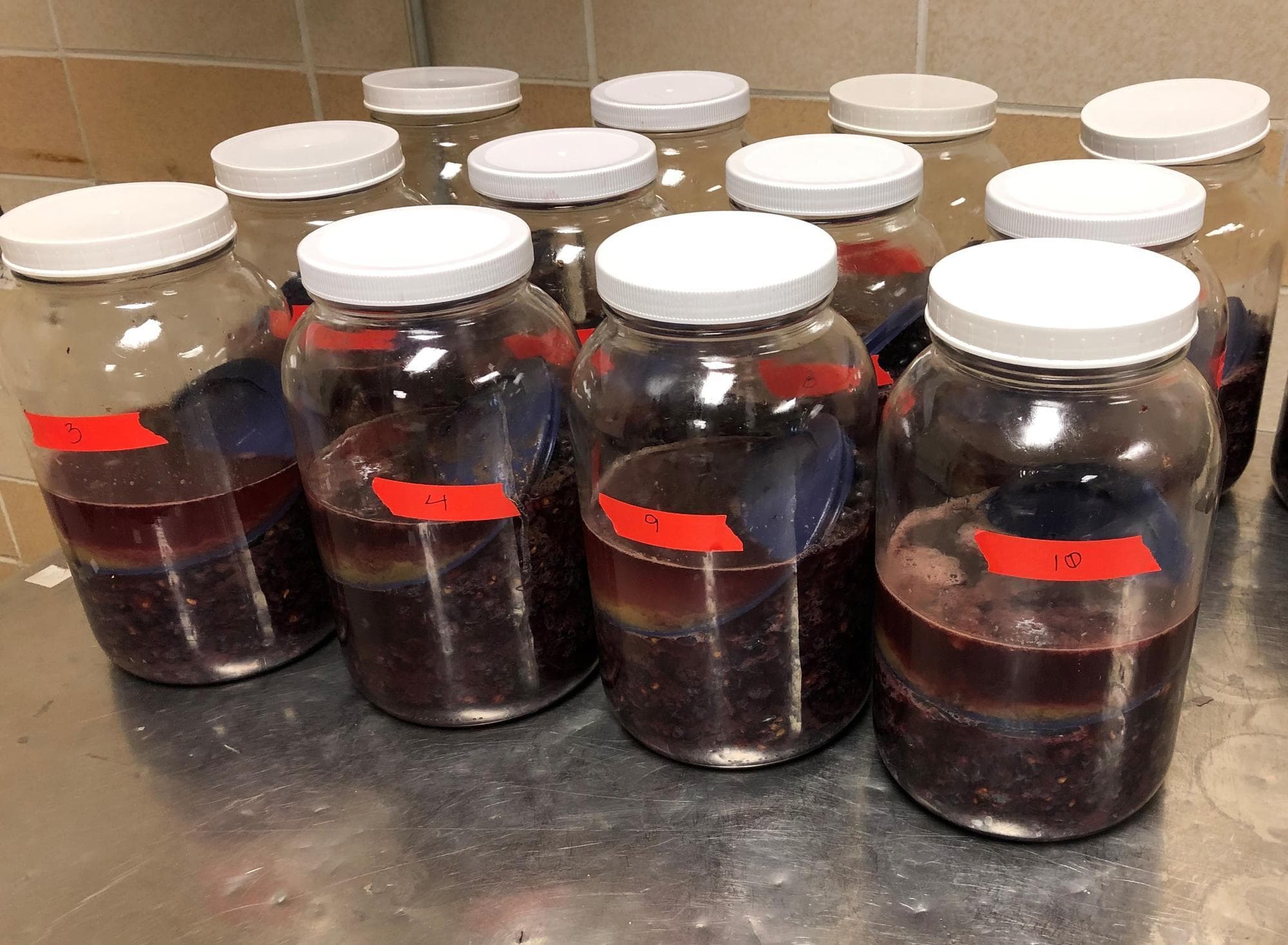 How to Assess Whether Grapes & Wines are Affected by Wildfire Smoke Exposure