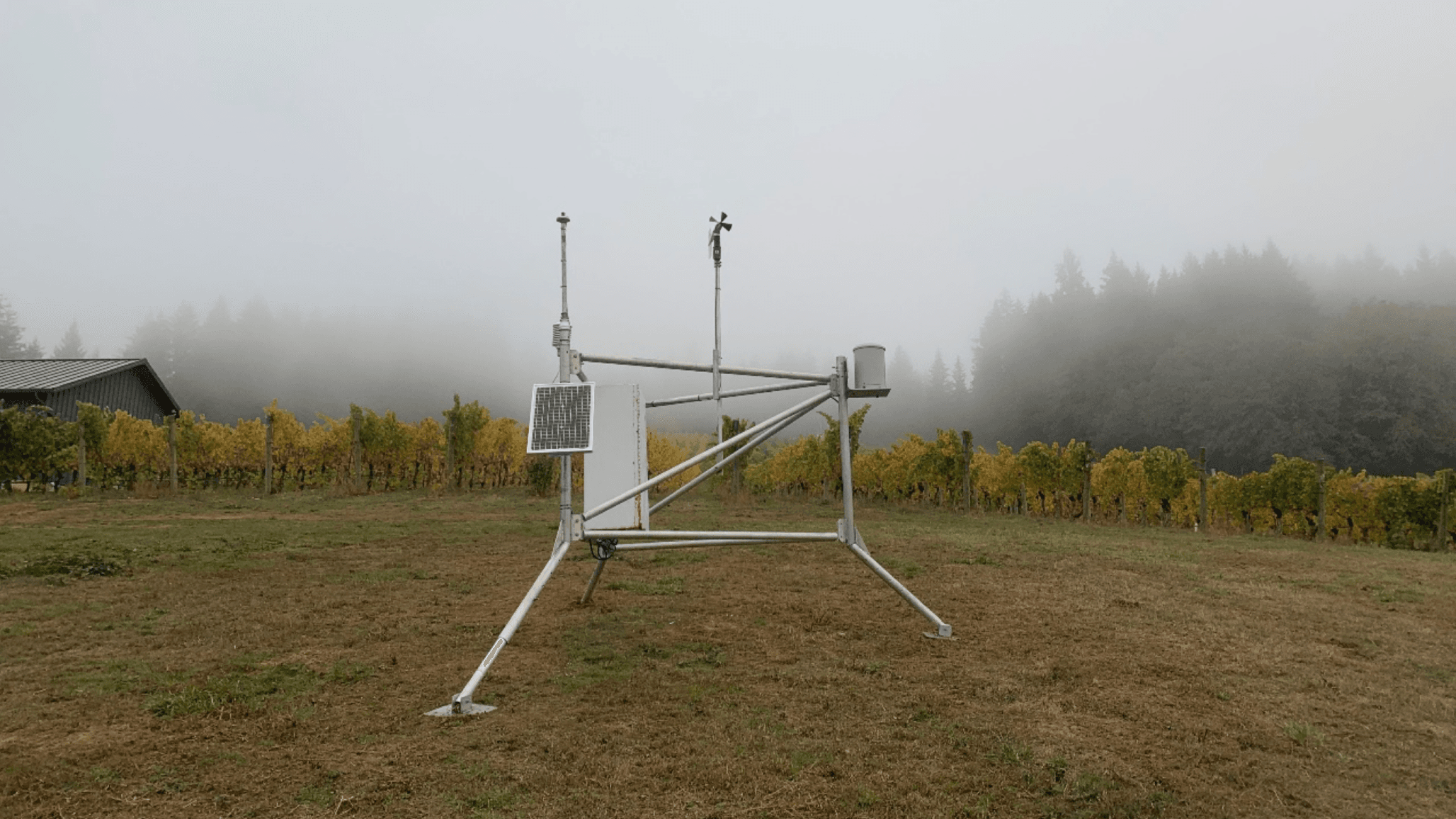 OSU’s Woodhall Vineyard Serves as New South Willamette Valley Public Weather Data Source