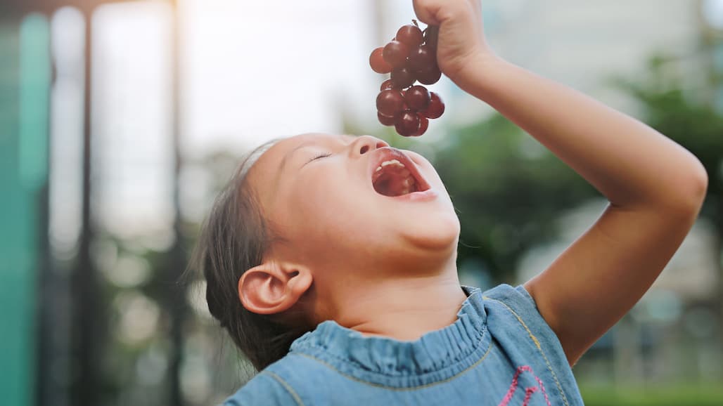 Vitamin K and Flavonoids Found in Fresh Grapes are Essential