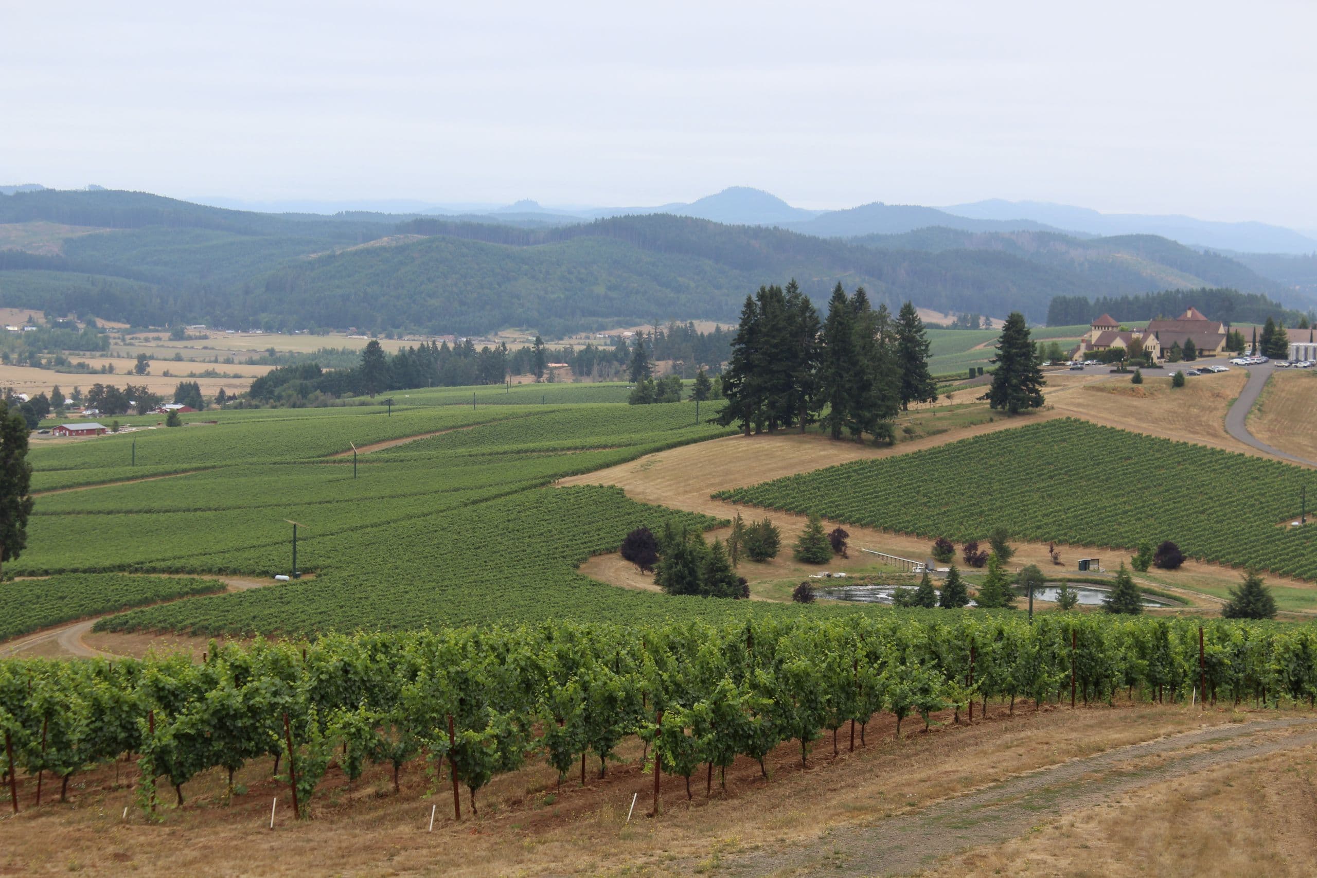 Biodynamic Vineyard Certification: A Grower’s Perspective