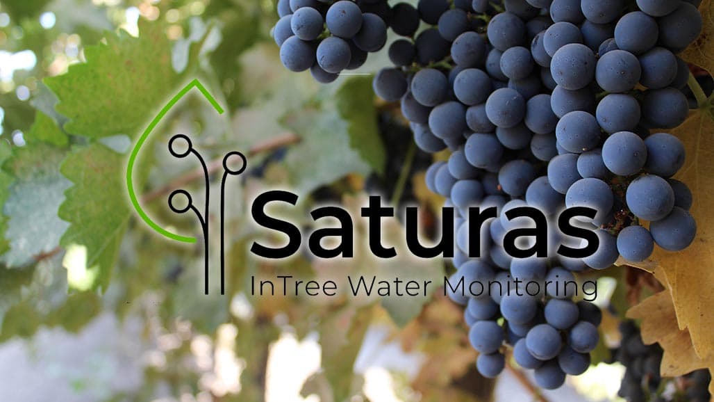 Monitoring Stem Water Potential in Grapevine (Case Study on Cabernet)