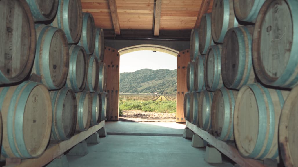 Winemakers, Can you trust your pH meter?