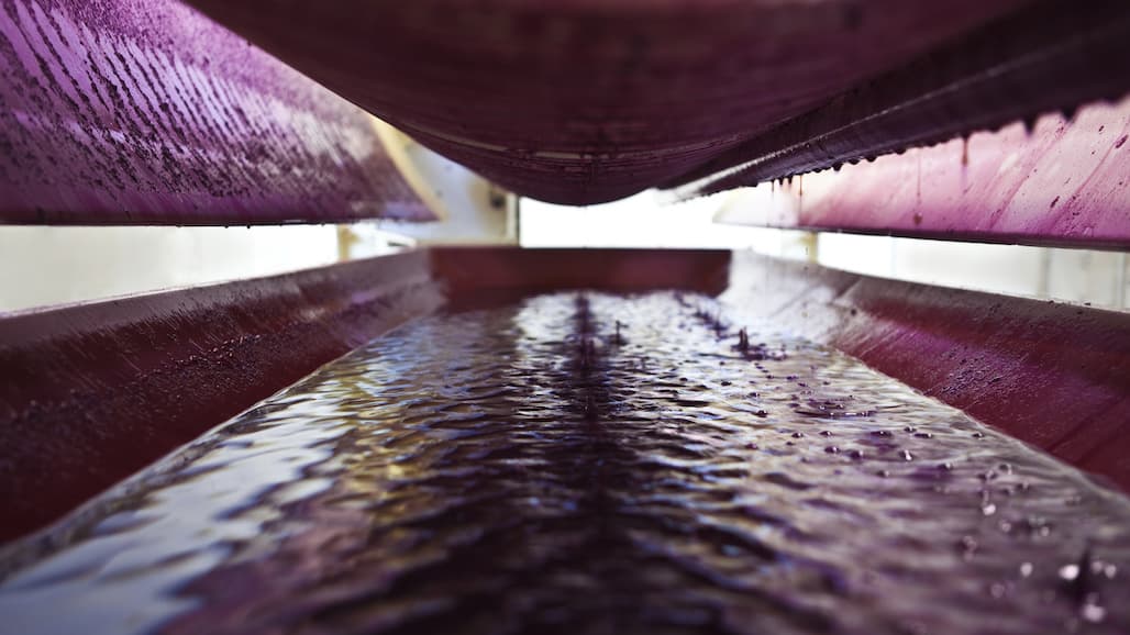 Wild WA Yeast may Hold Key to Reducing Sugar Content in Wine