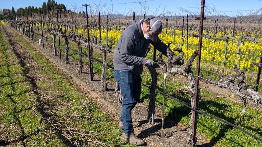 New USDA Research Viticulture Soil Scientist in Prosser, WA