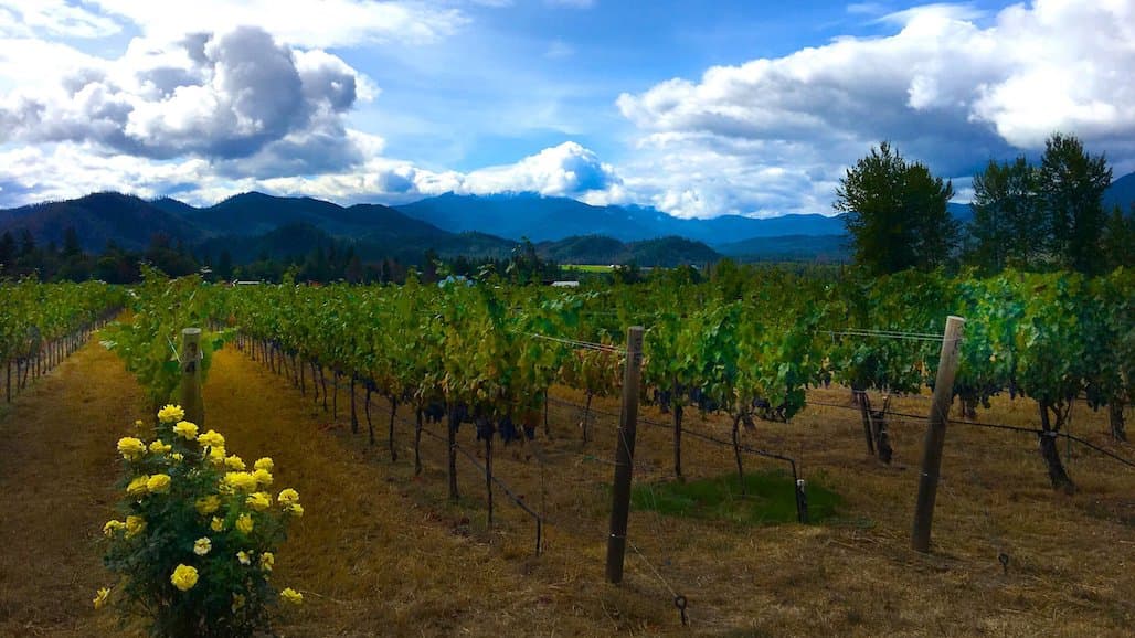 Troon Vineyard Announces Regenerative Organic Certification