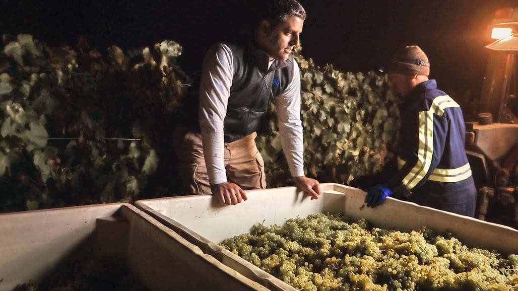 Bill Brosseau Celebrates 25th Harvest at Brosseau Vineyard, 10th Year Certified Organic