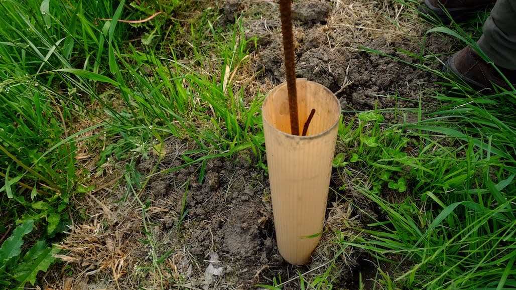 Why we Remove Grow Tubes for the Winter