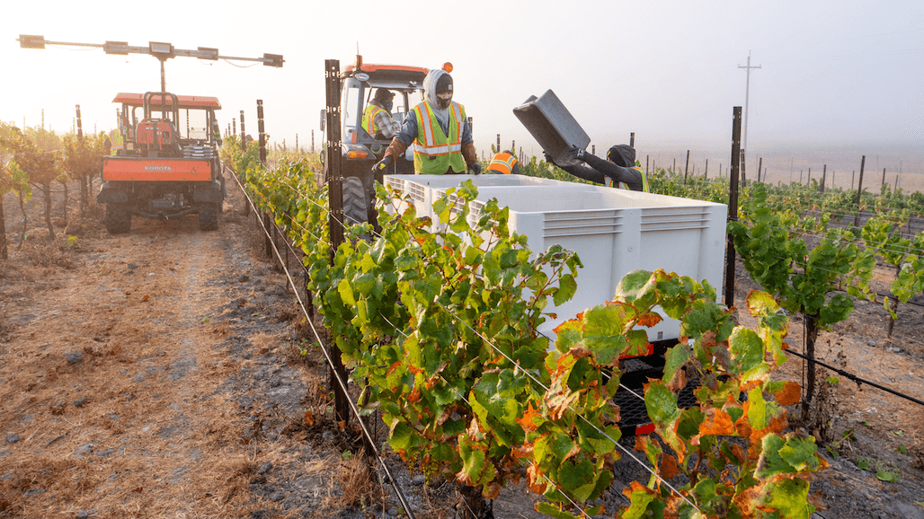 California’s Wine Community Recognizes October’s Farmer and Farmworker Month