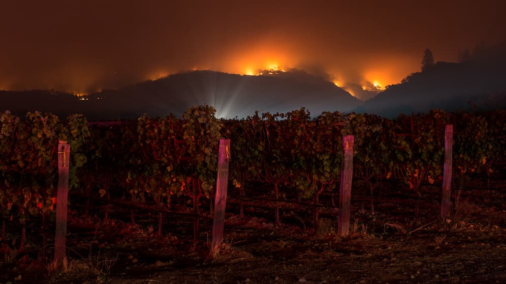 How Extreme Weather Affects Ag and Wine Production Keynote Address at 2022 Unified Symposium