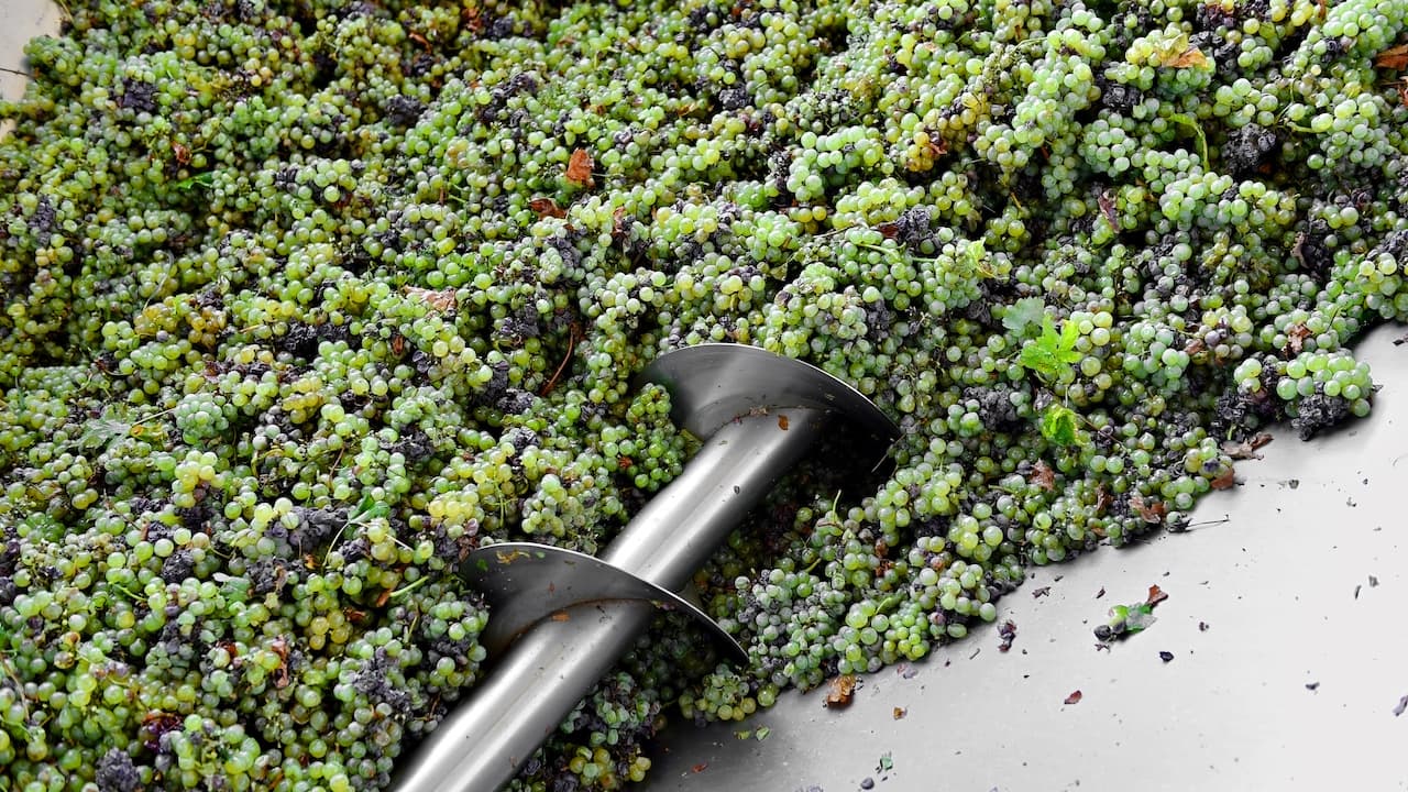 State of the Wine Industry, Lodi/Interior with Mike Needham