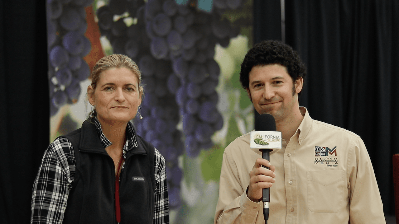 Smoke Taint with Anita Oberholster, Prepare Your Vineyard for Future Threats