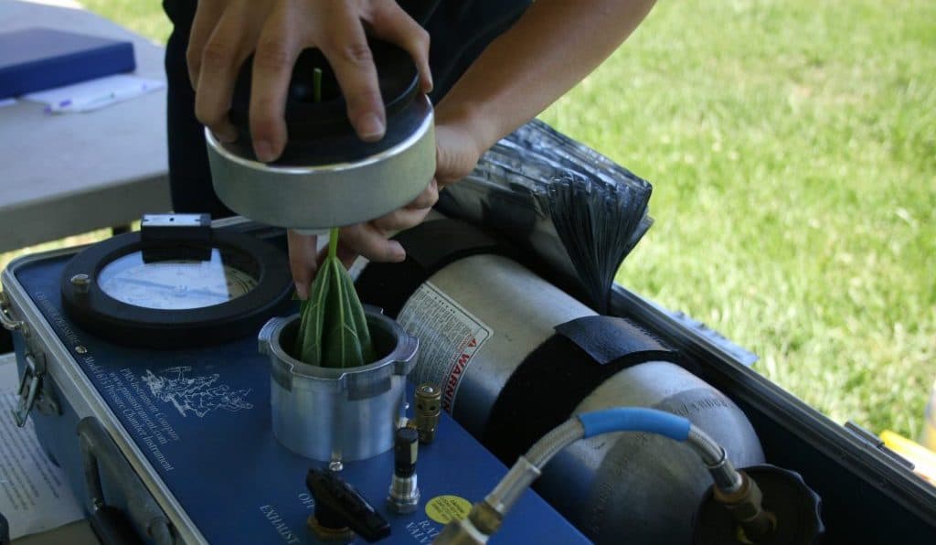 Putting Pressure Chamber Values into Context Using the Calculated Non-Stressed Baseline