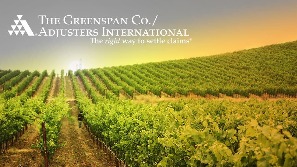 From Trellises to Tanks: Protecting Vineyards and Wineries with Proper Insurance Coverage